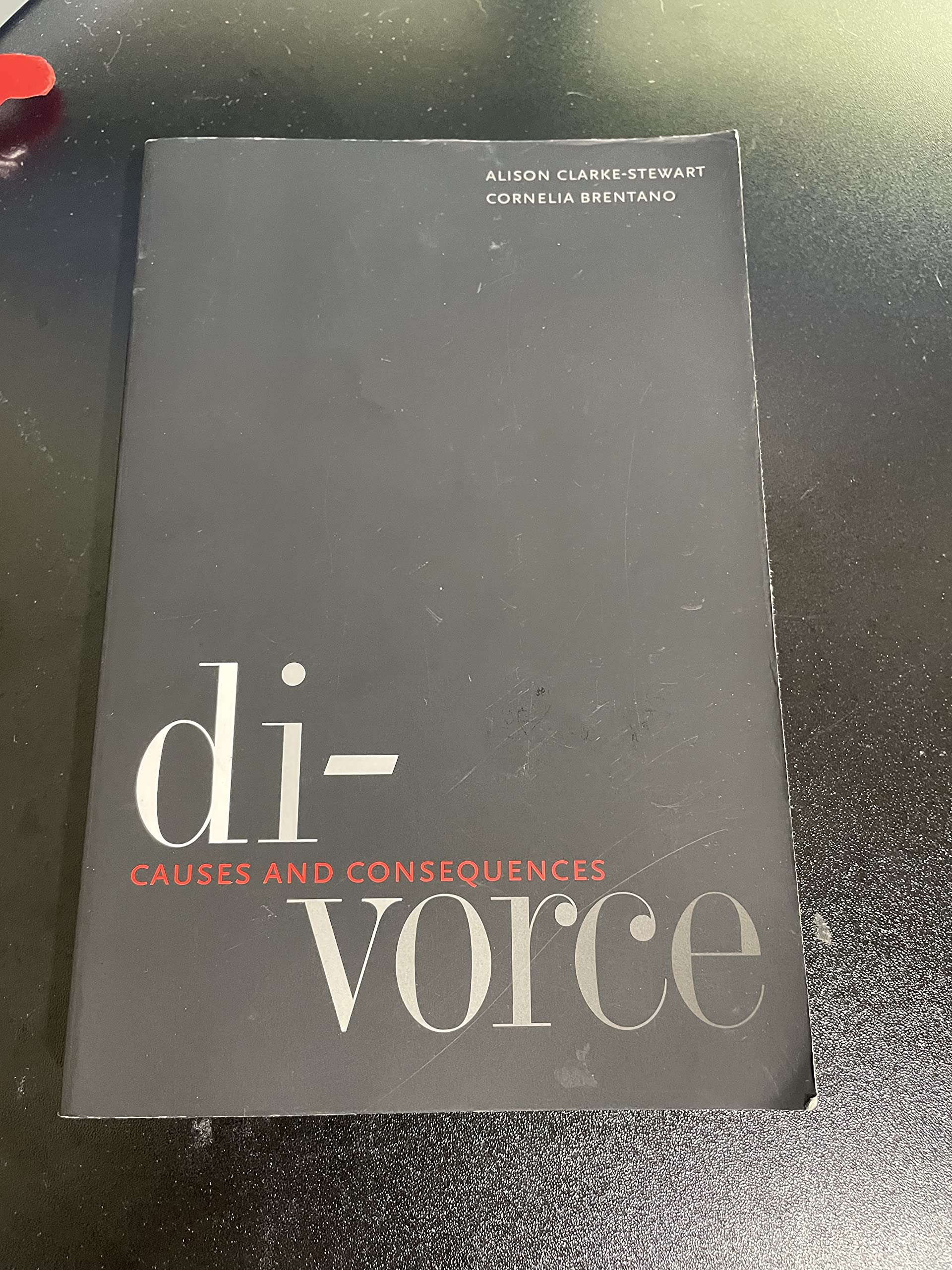 Divorce: Causes and Consequences (Current Perspectives in Psychology),New
