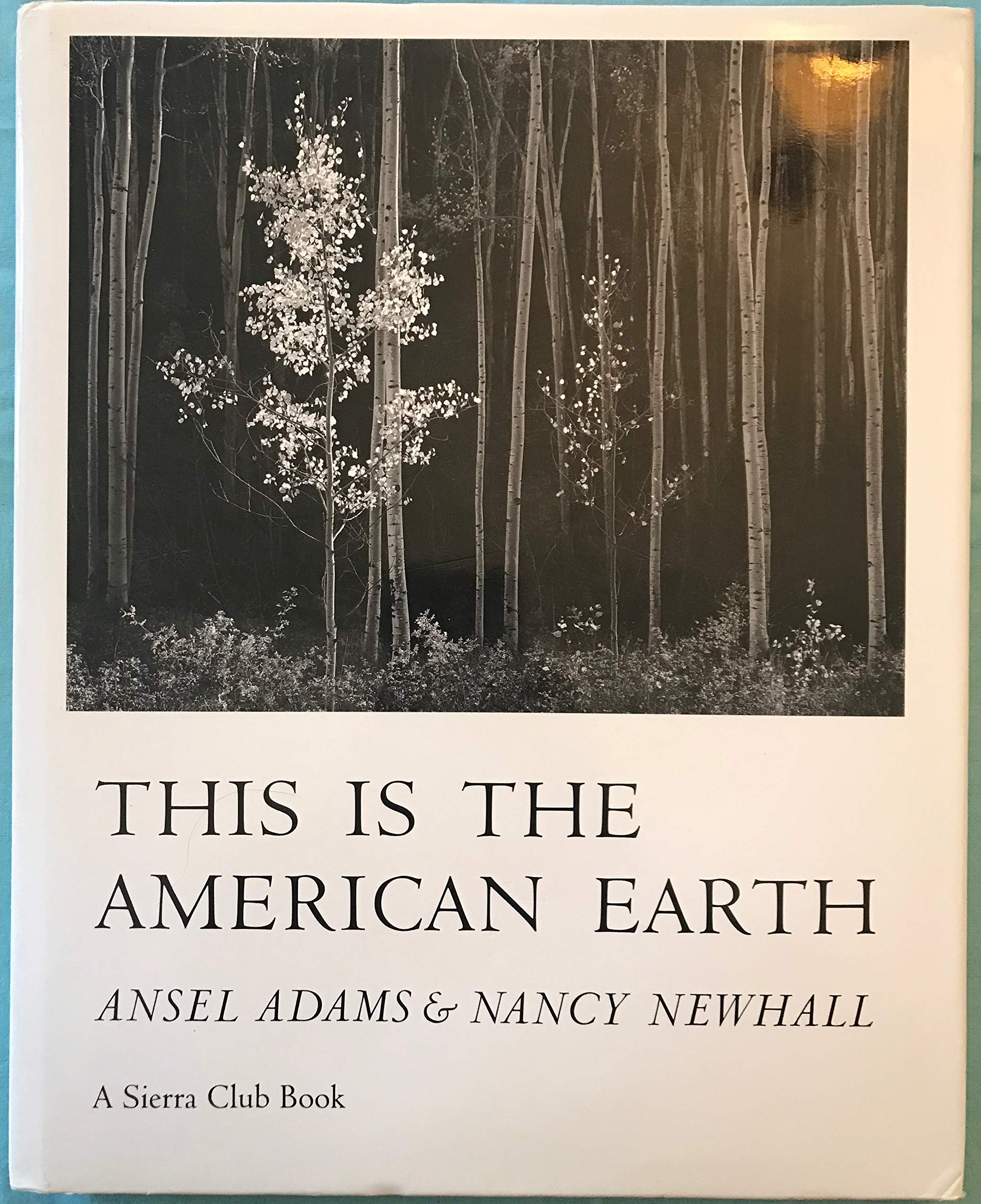 This is the American Earth,New