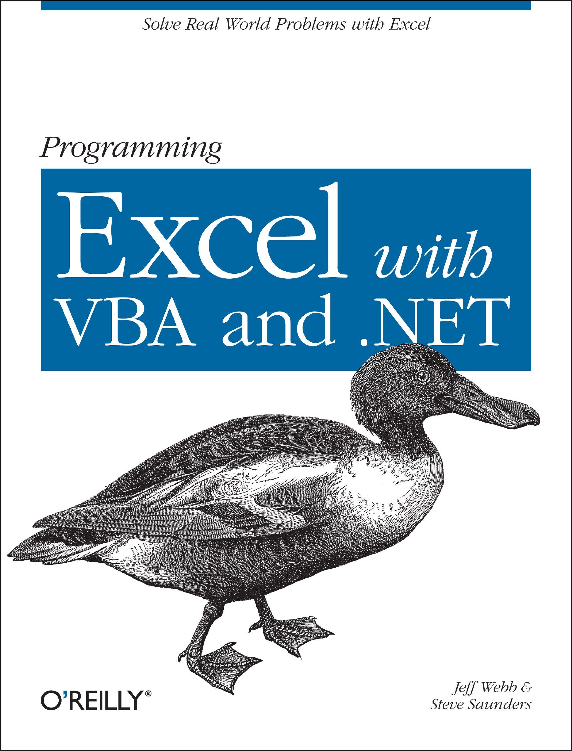Programming Excel With Vba And .Net: Solve Realworld Problems With Excel