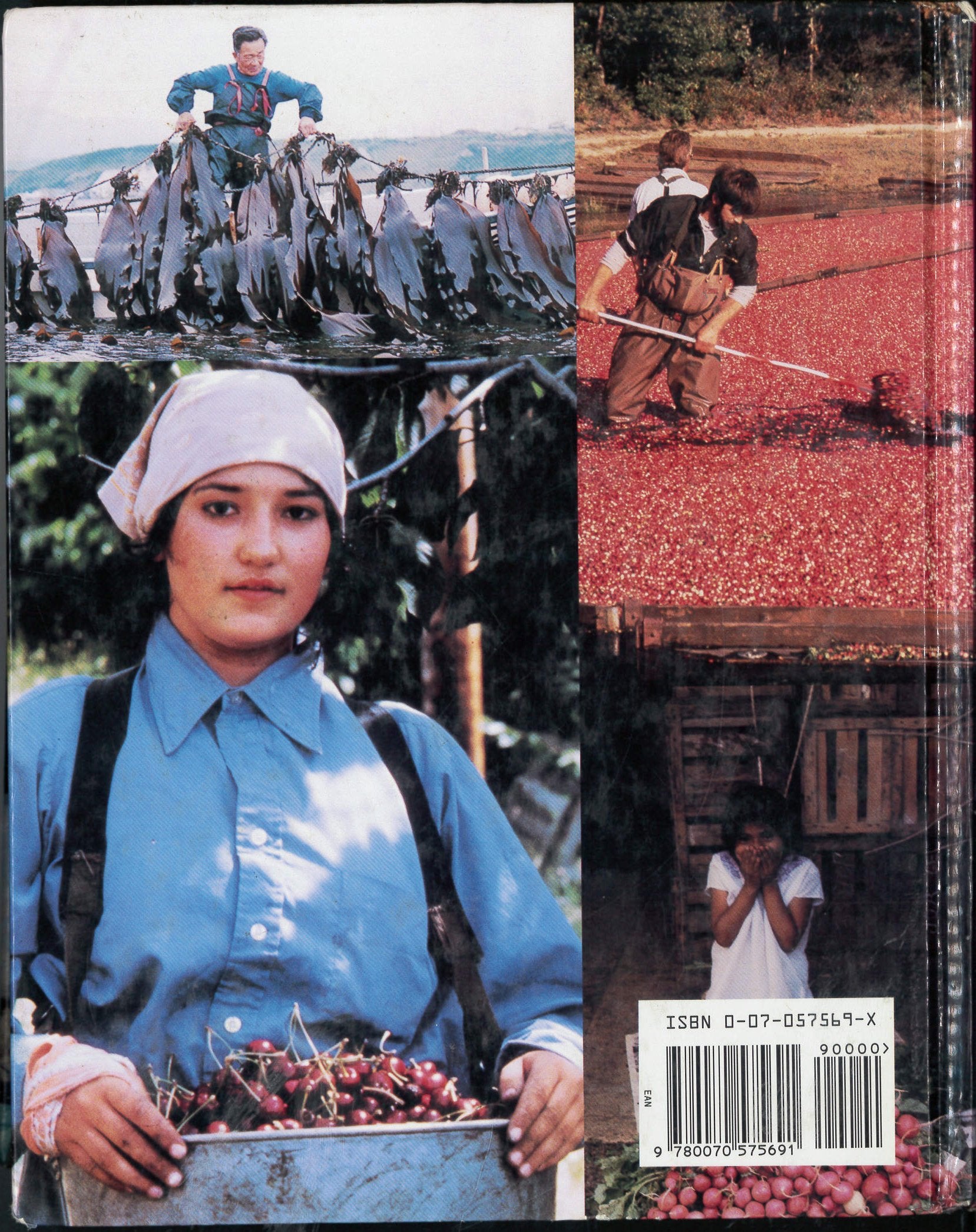 Economic Botany: Plants in Our World,Used