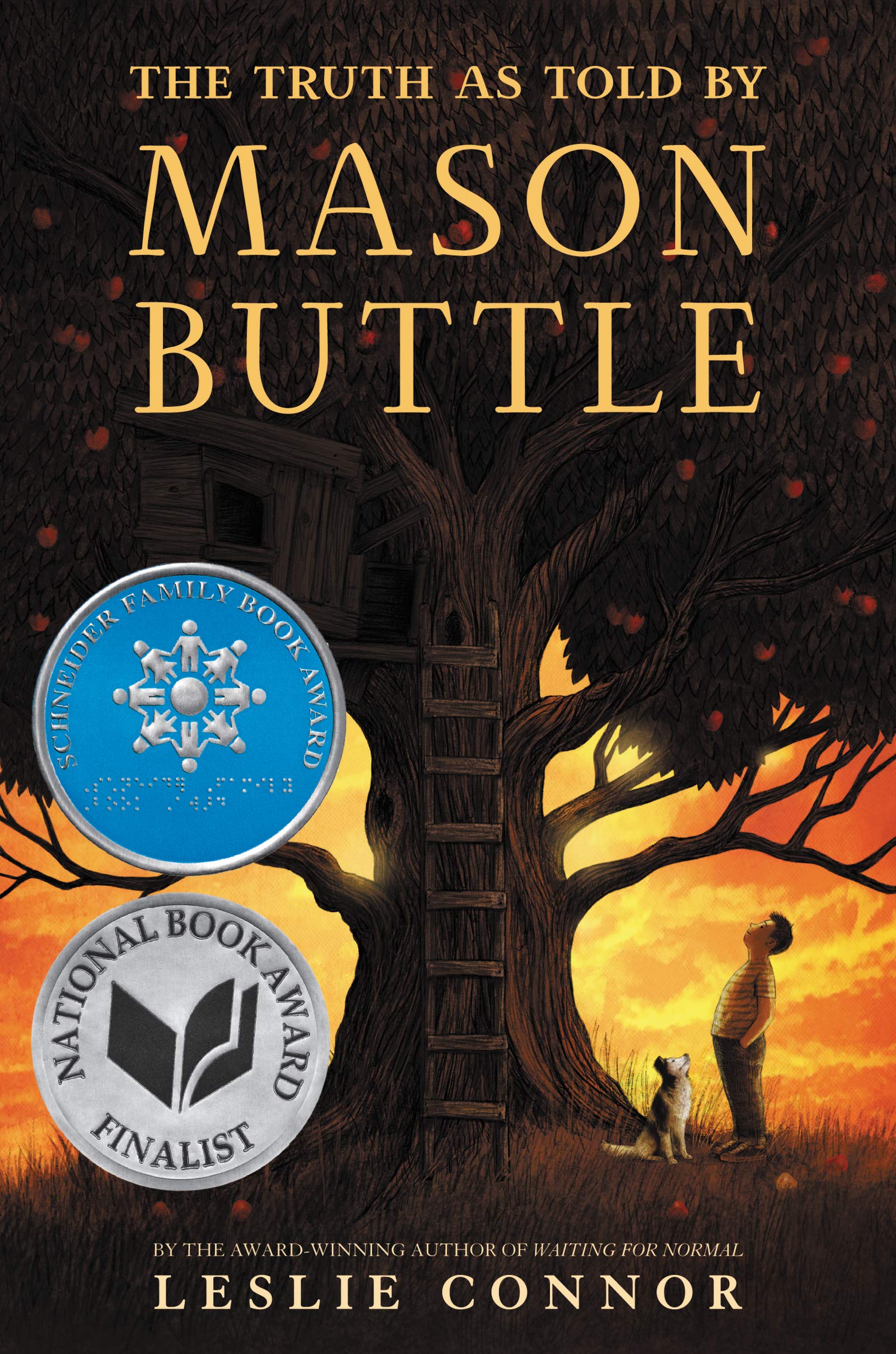 The Truth as Told by Mason Buttle,Used