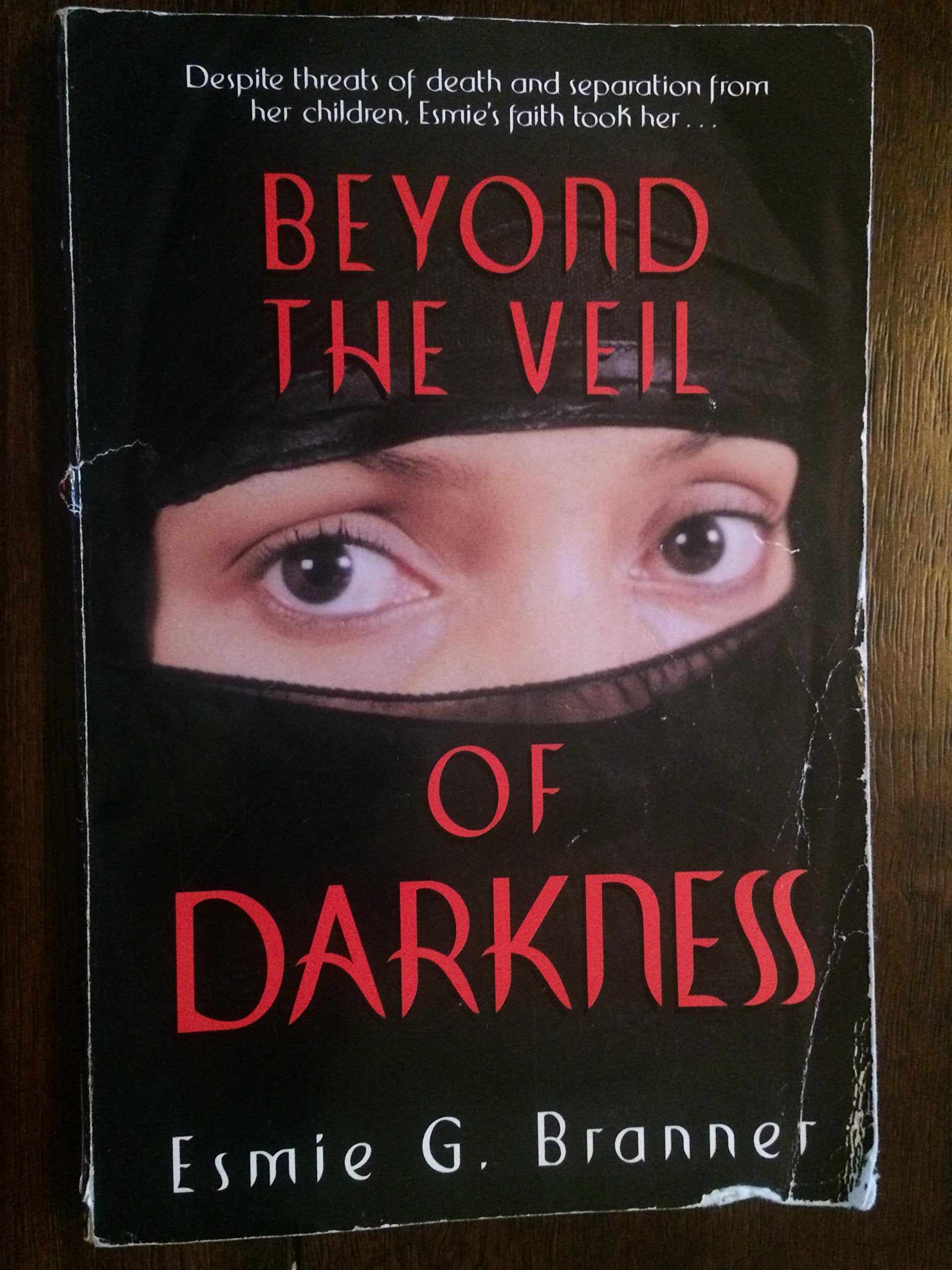 Beyond The Veil Of Darkness-used