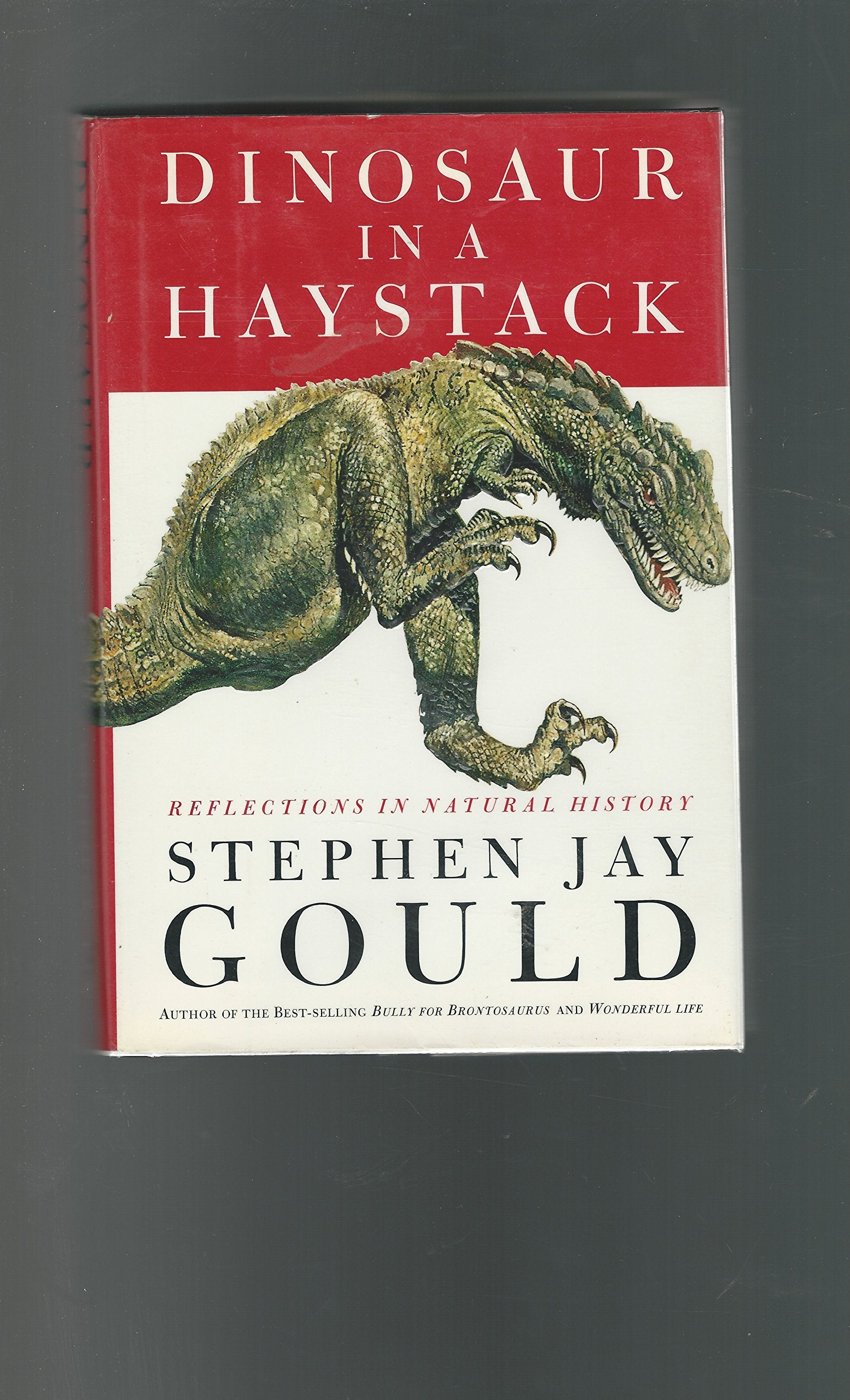 Dinosaur In A Haystack: Reflections In Natural History-new,New