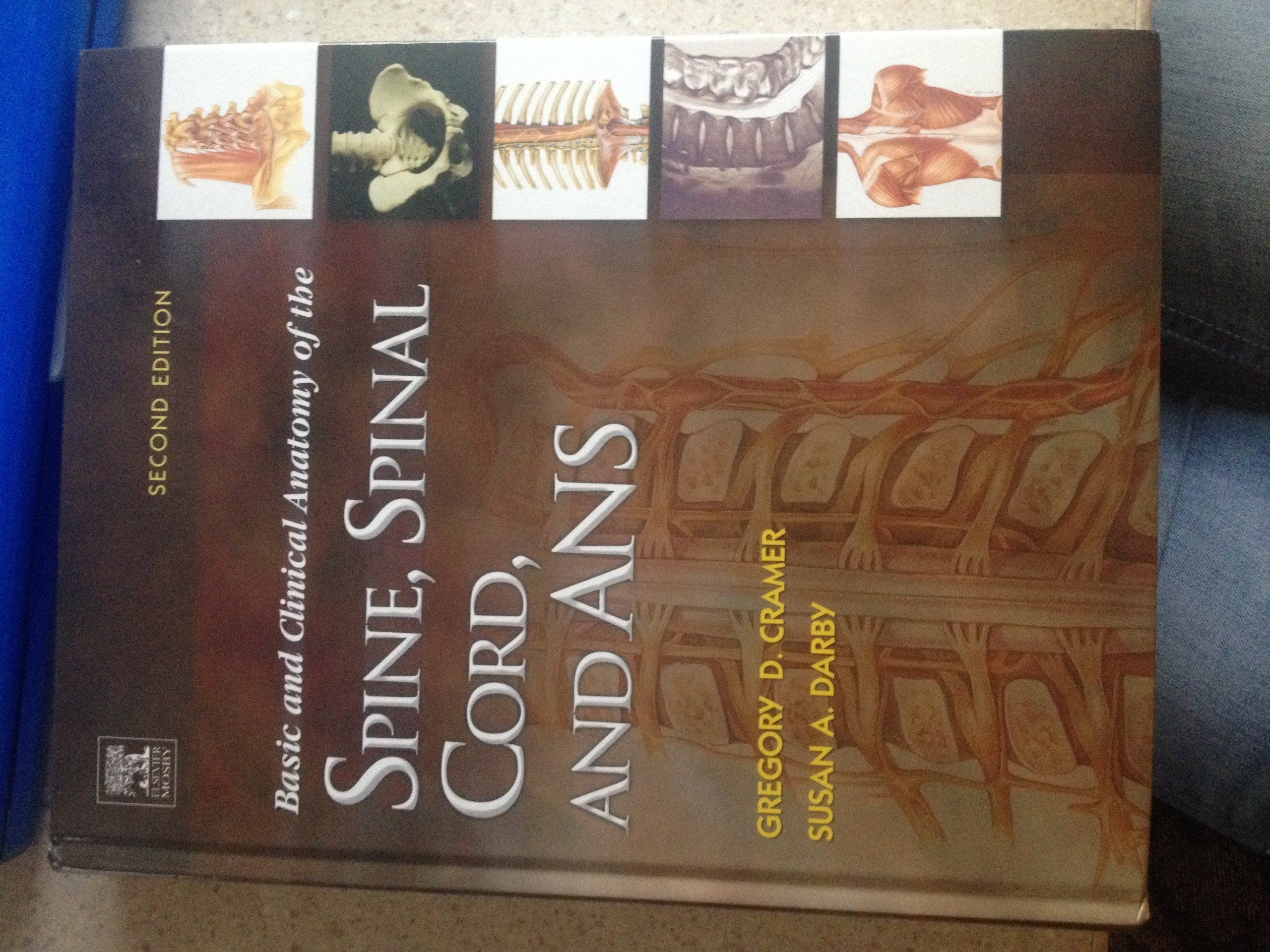 Basic and Clinical Anatomy of the Spine, Spinal Cord, and ANS,Used