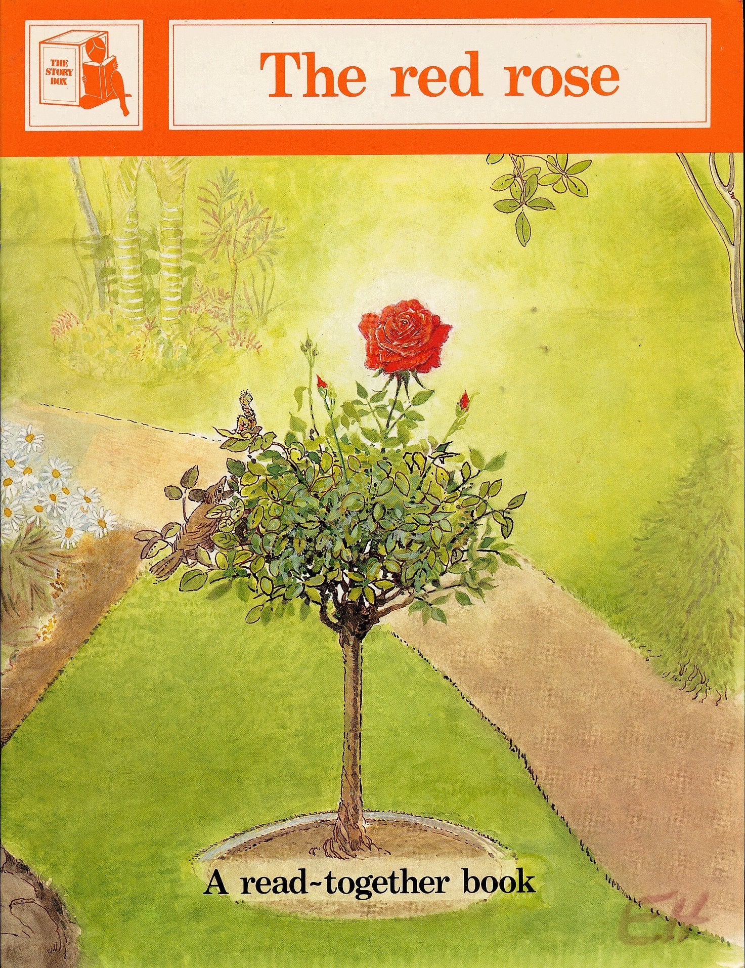 Story Box, The Red Rose,Used