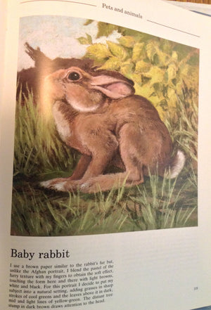 Painting with Pastel,Used