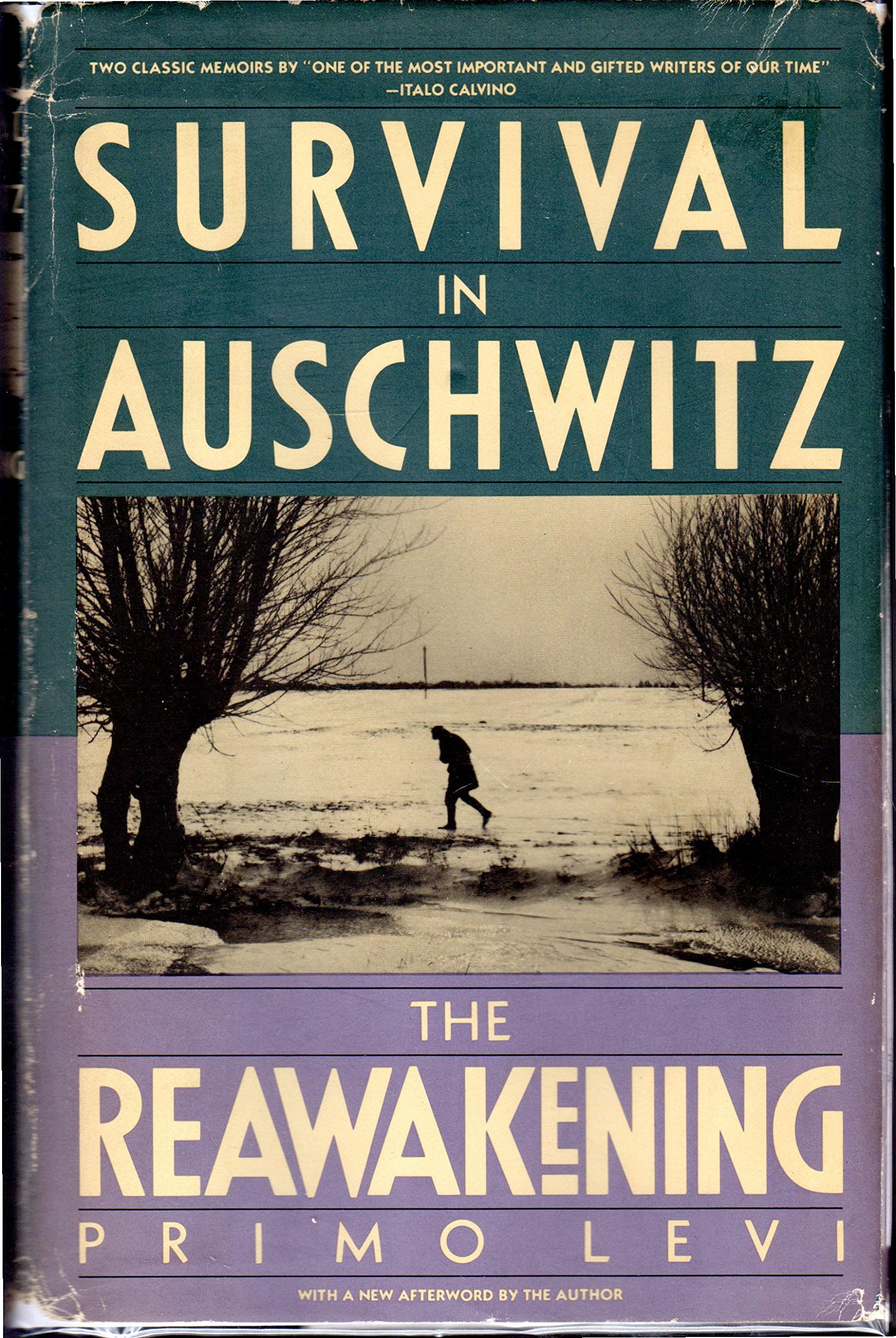 Survival In Auschwitz And The Reawakening, Two Memoirs