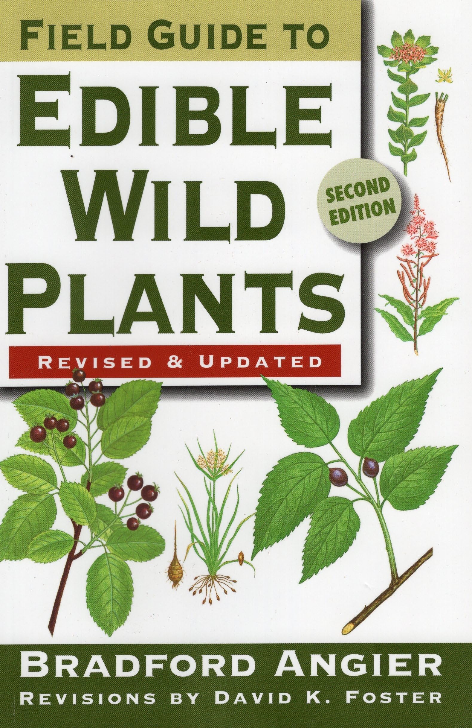 Field Guide To Edible Wild Plants,New