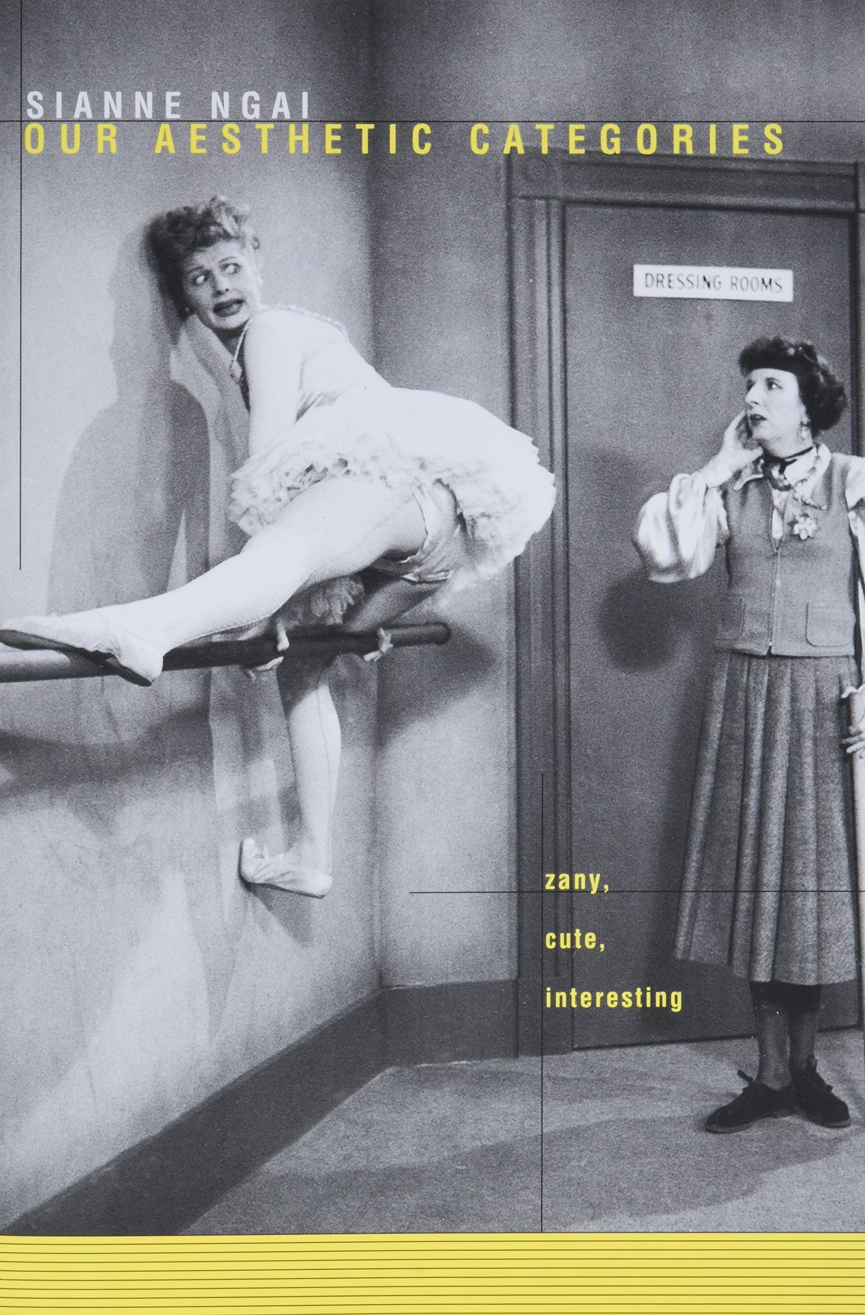 Our Aesthetic Categories: Zany, Cute, Interesting-used