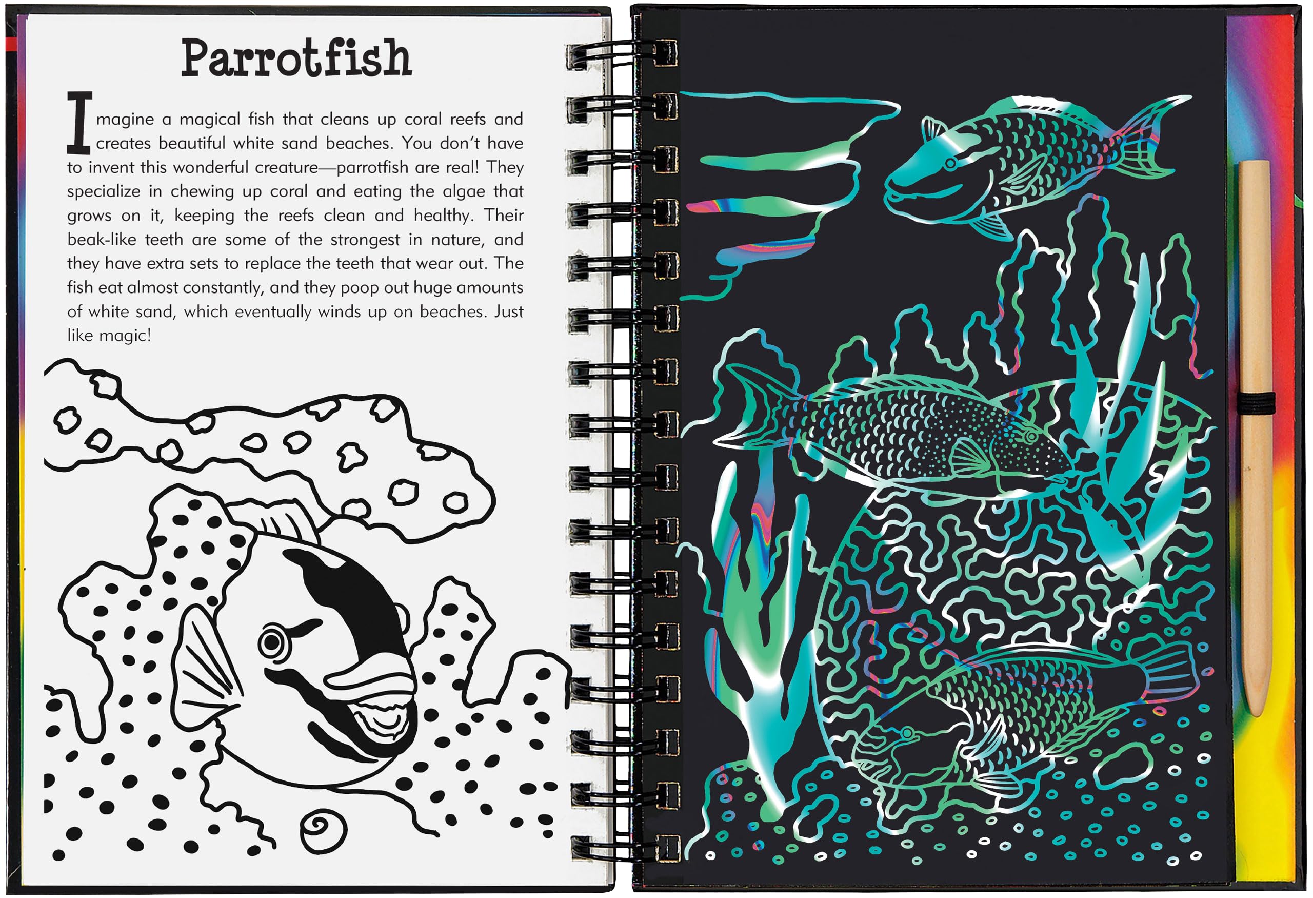 Scratch & Sketch Coral Reefs (Trace Along) (Scratch and Sketch Tracealong),Used