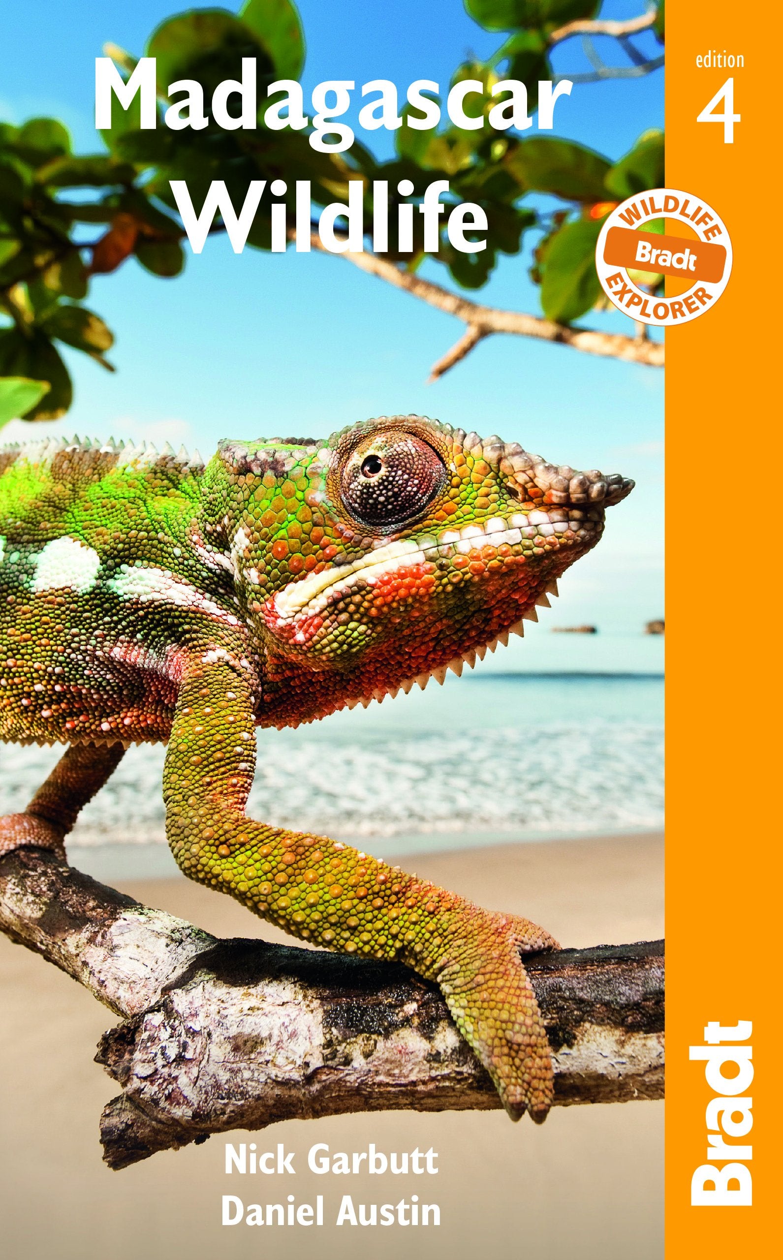 Madagascar Wildlife (Bradt Guides),Used