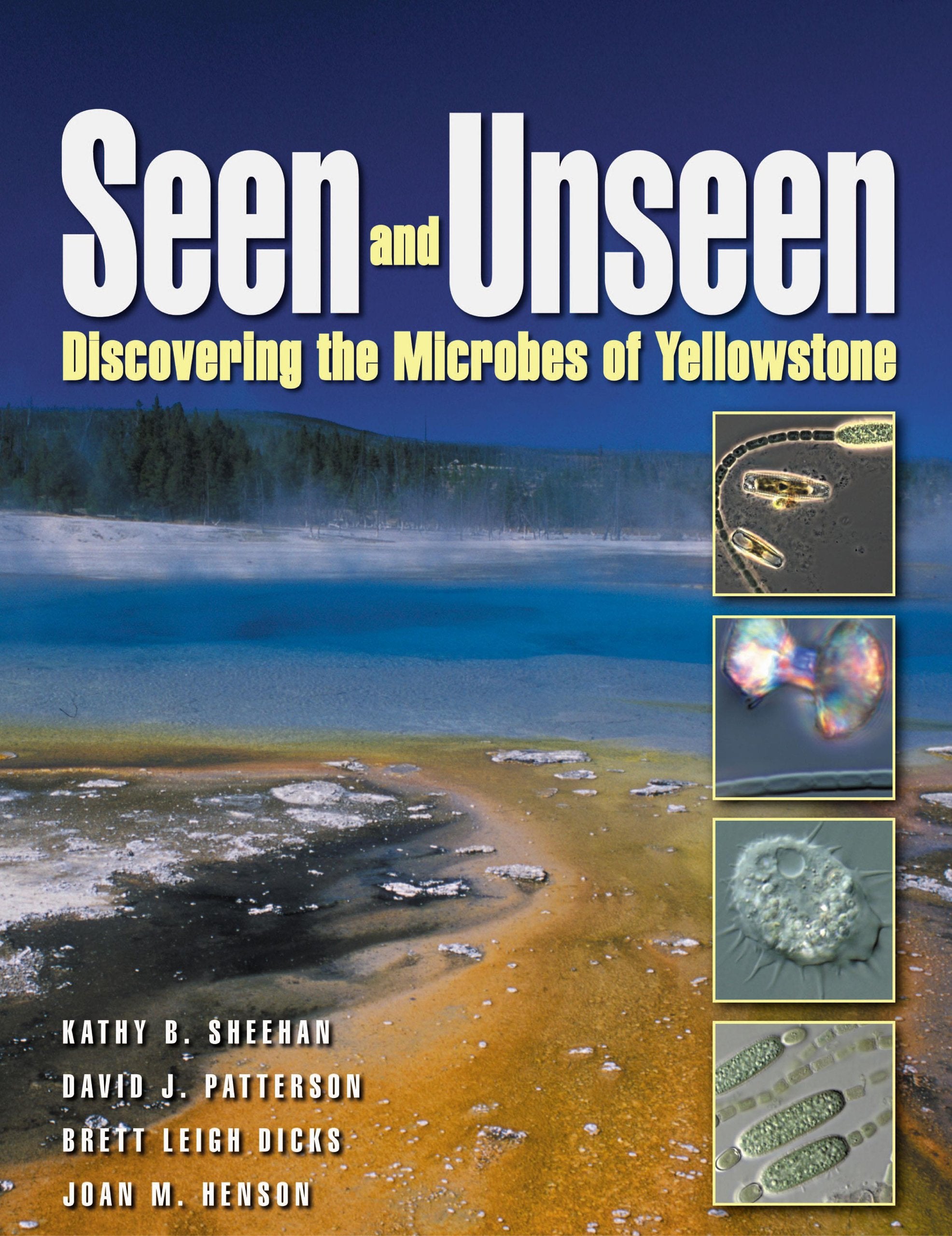 Seen and Unseen: Discovering The Microbes Of Yellowstone,Used