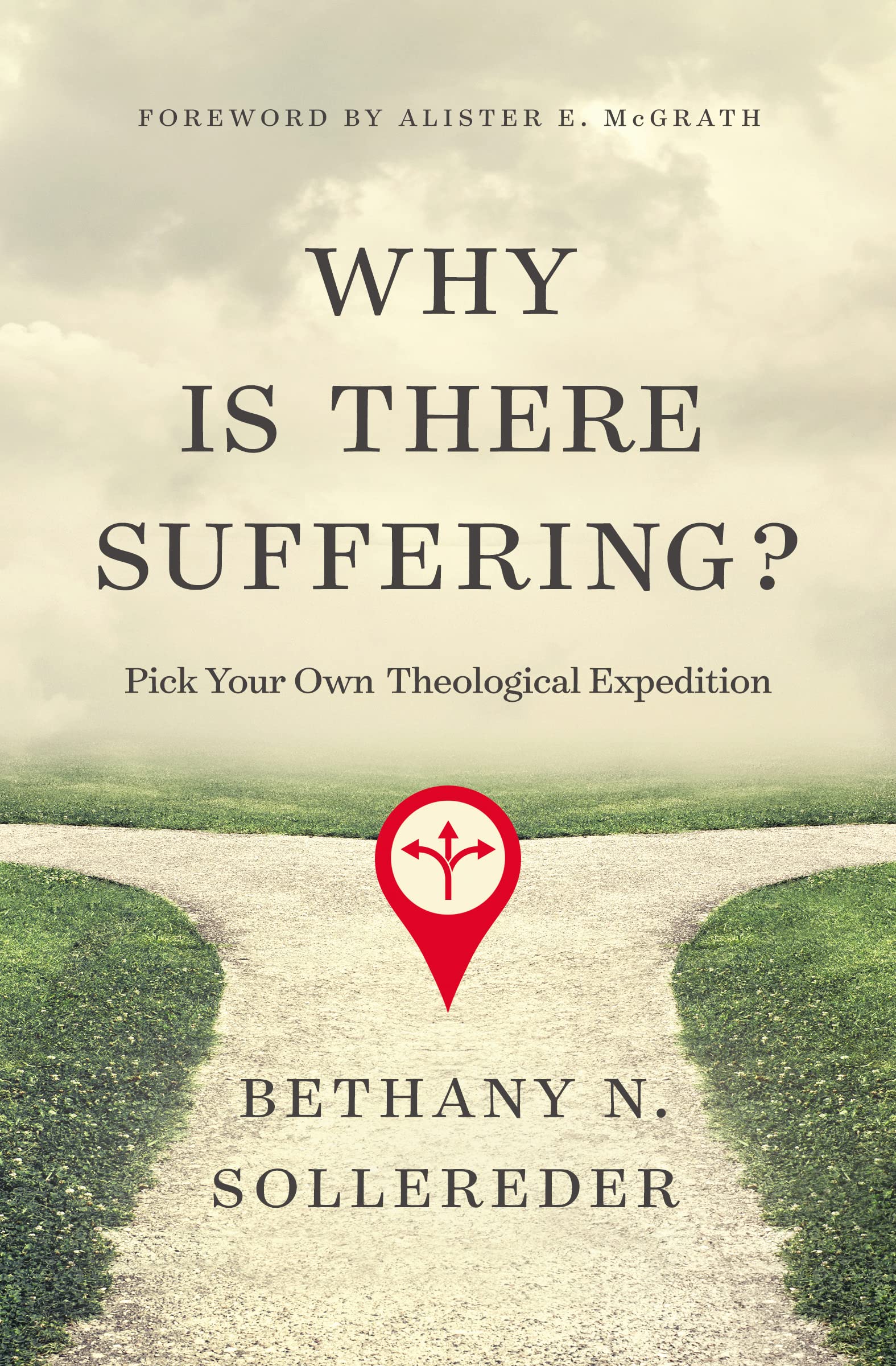 Why Is There Suffering?: Pick Your Own Theological Expedition,Used