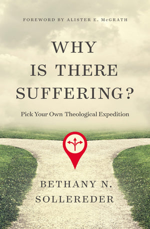 Why Is There Suffering?: Pick Your Own Theological Expedition,Used