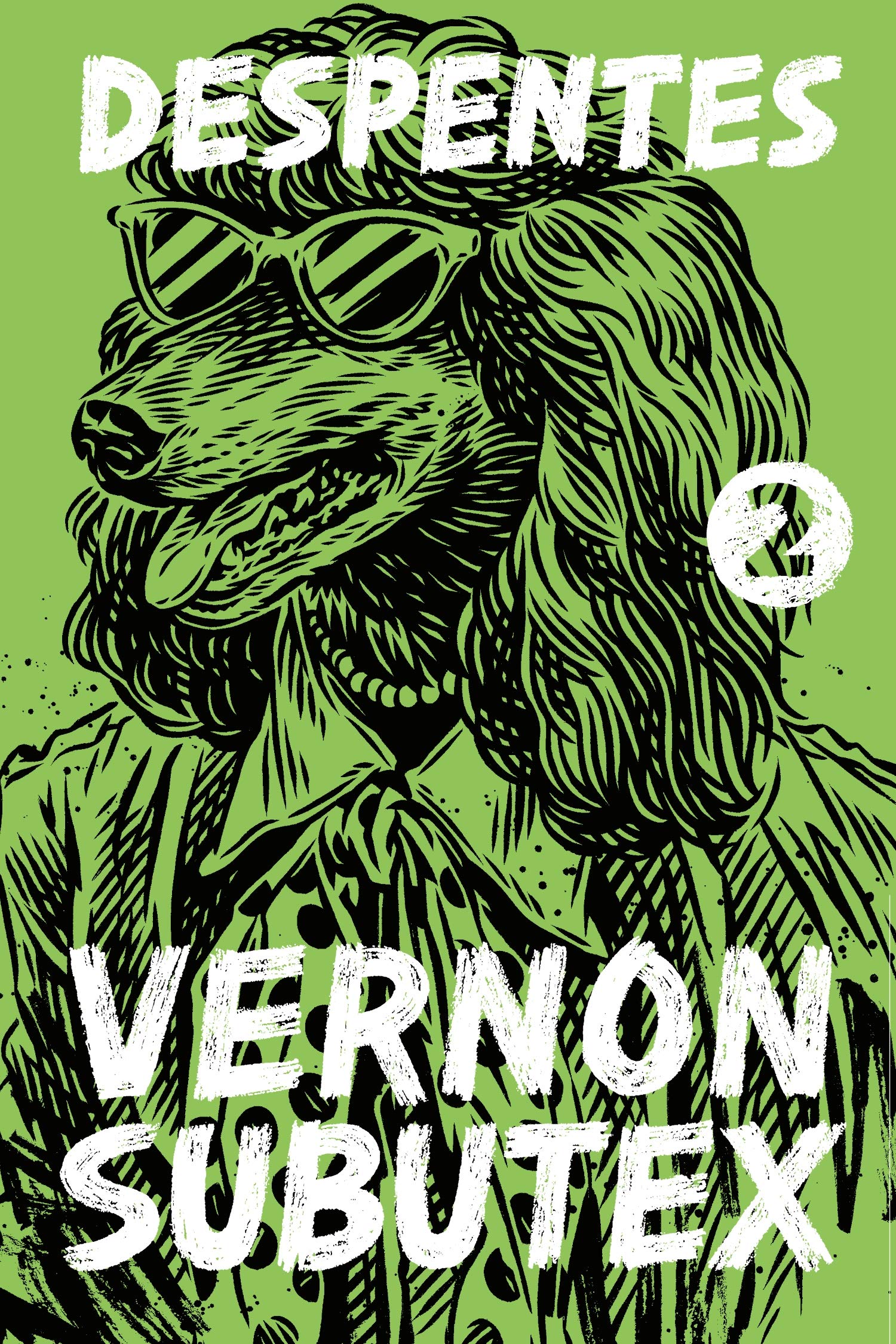 Vernon Subutex 2: A Novel,Used