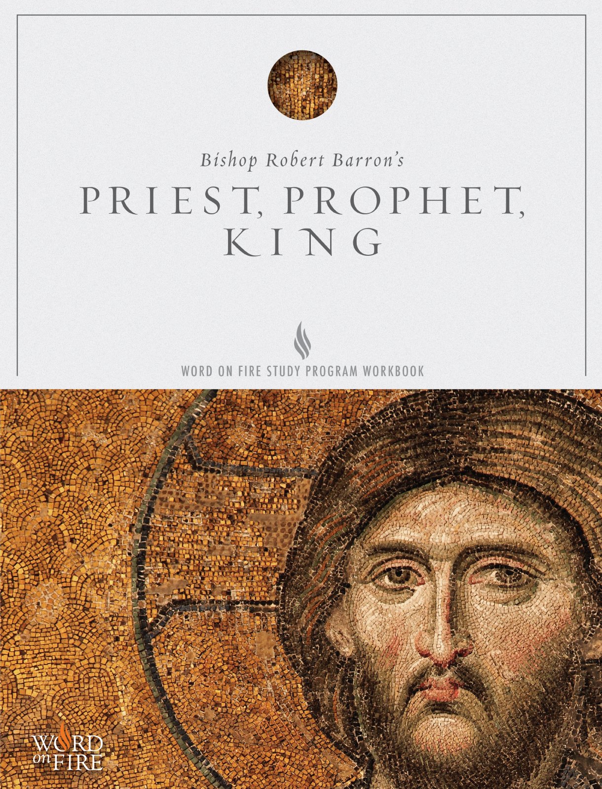Priest, Prophet, King Study Guide,Used