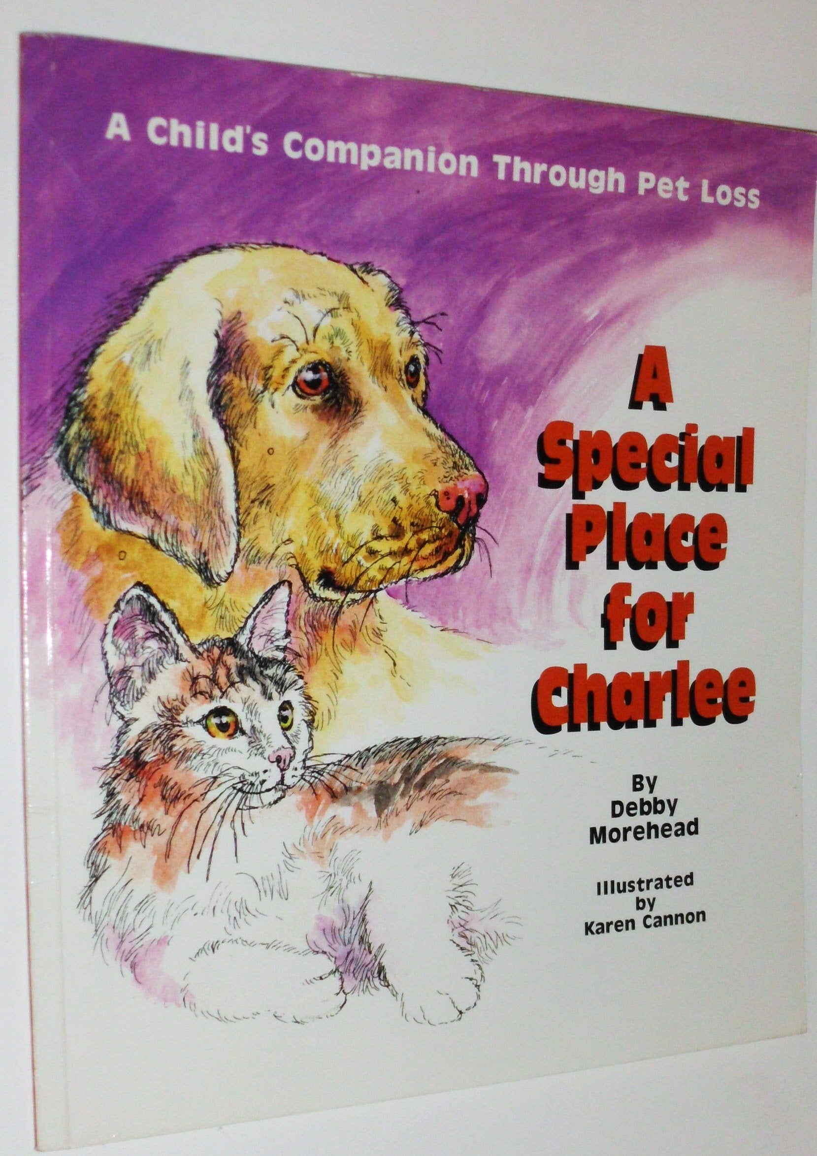 A Special Place For Charlee: A Child'S Companion Through Pet Loss,New