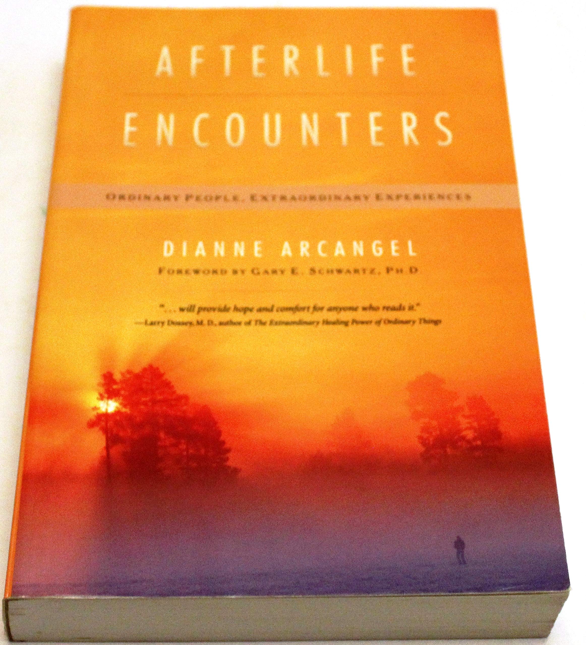 Afterlife Encounters: Ordinary People, Extraordinary Experiences,Used