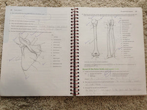 Pearson Human Anatomy Laboratory Manual with Cat Dissections, 7th Edition