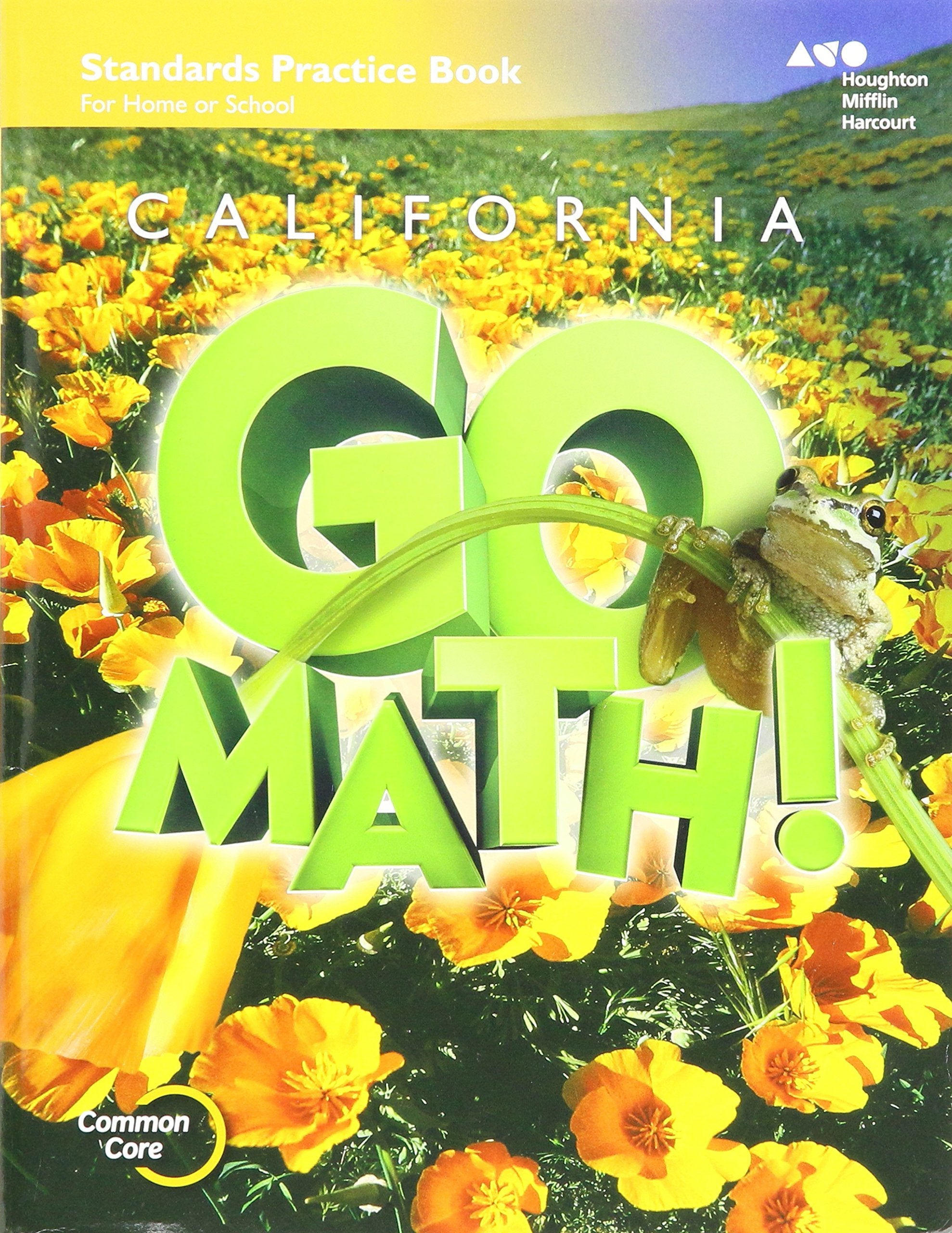 Practice Workbook Grade 5 (Houghton Mifflin Harcourt Go Math!),Used