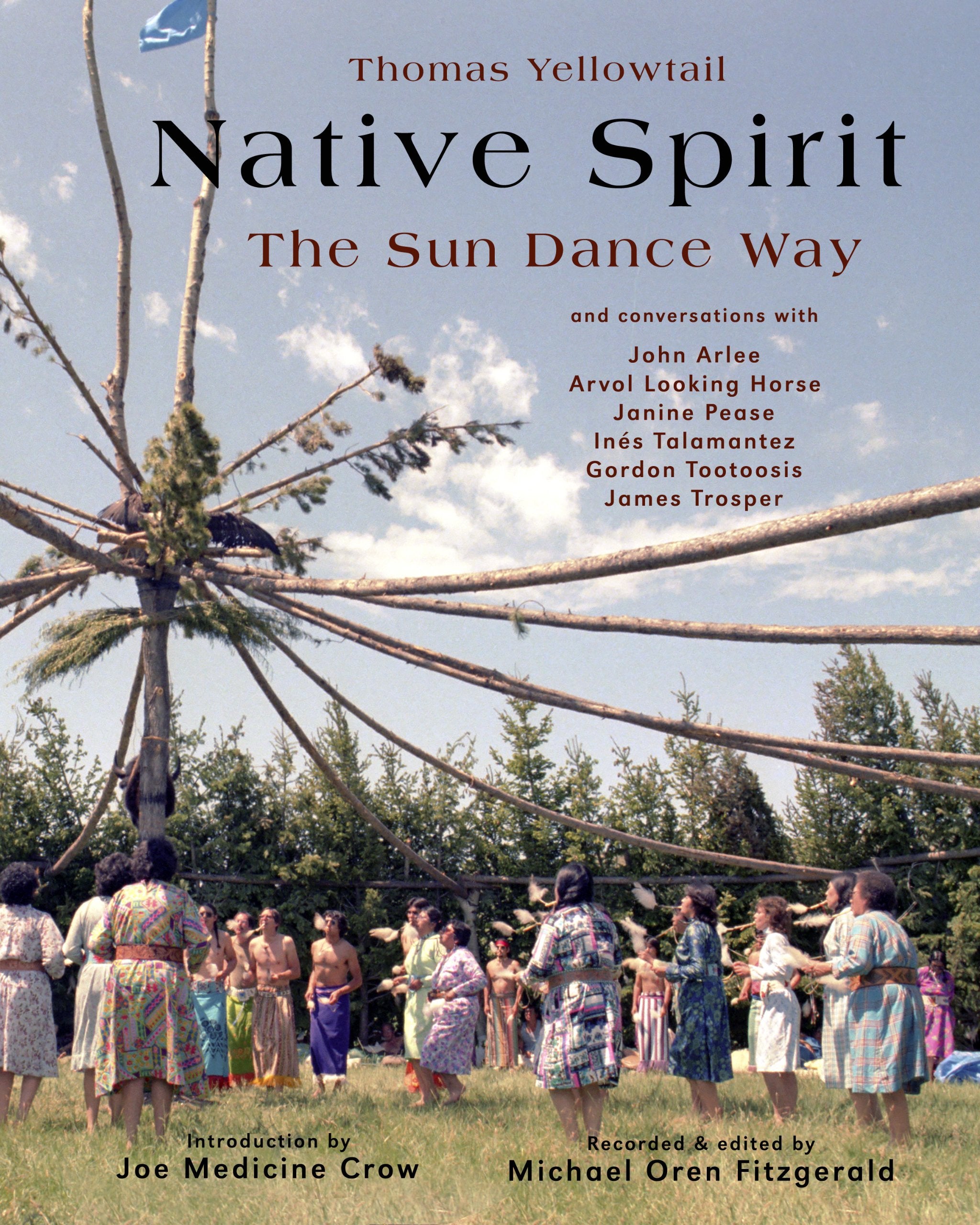 Native Spirit: The Sun Dance Way (Treasures Of The World'S Religions)