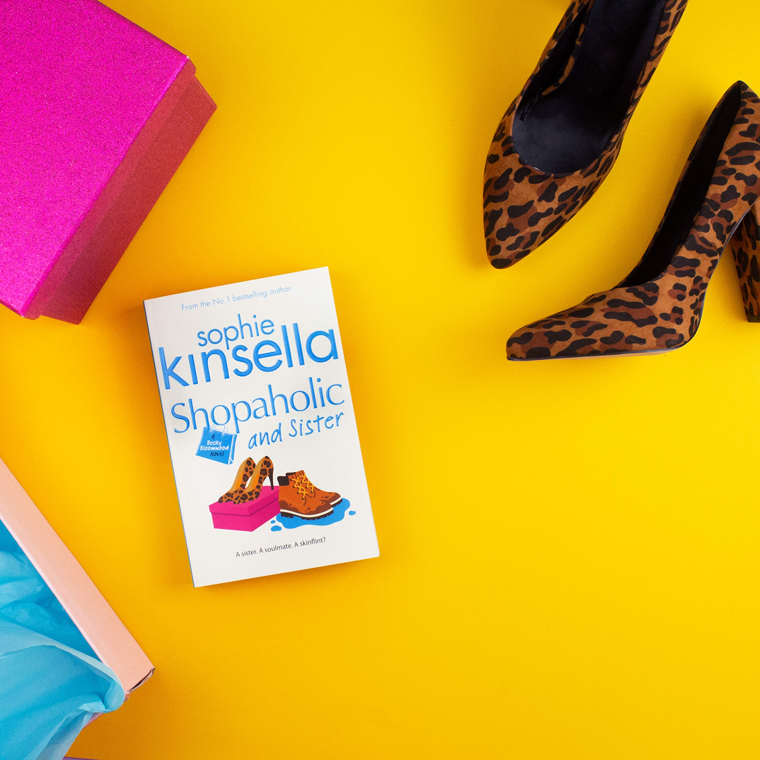 Shopaholic and Sister,Used