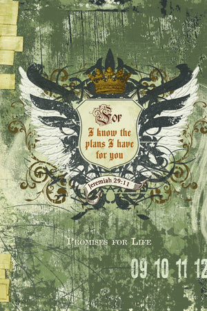 For I Know The Plans (Signature Journals)