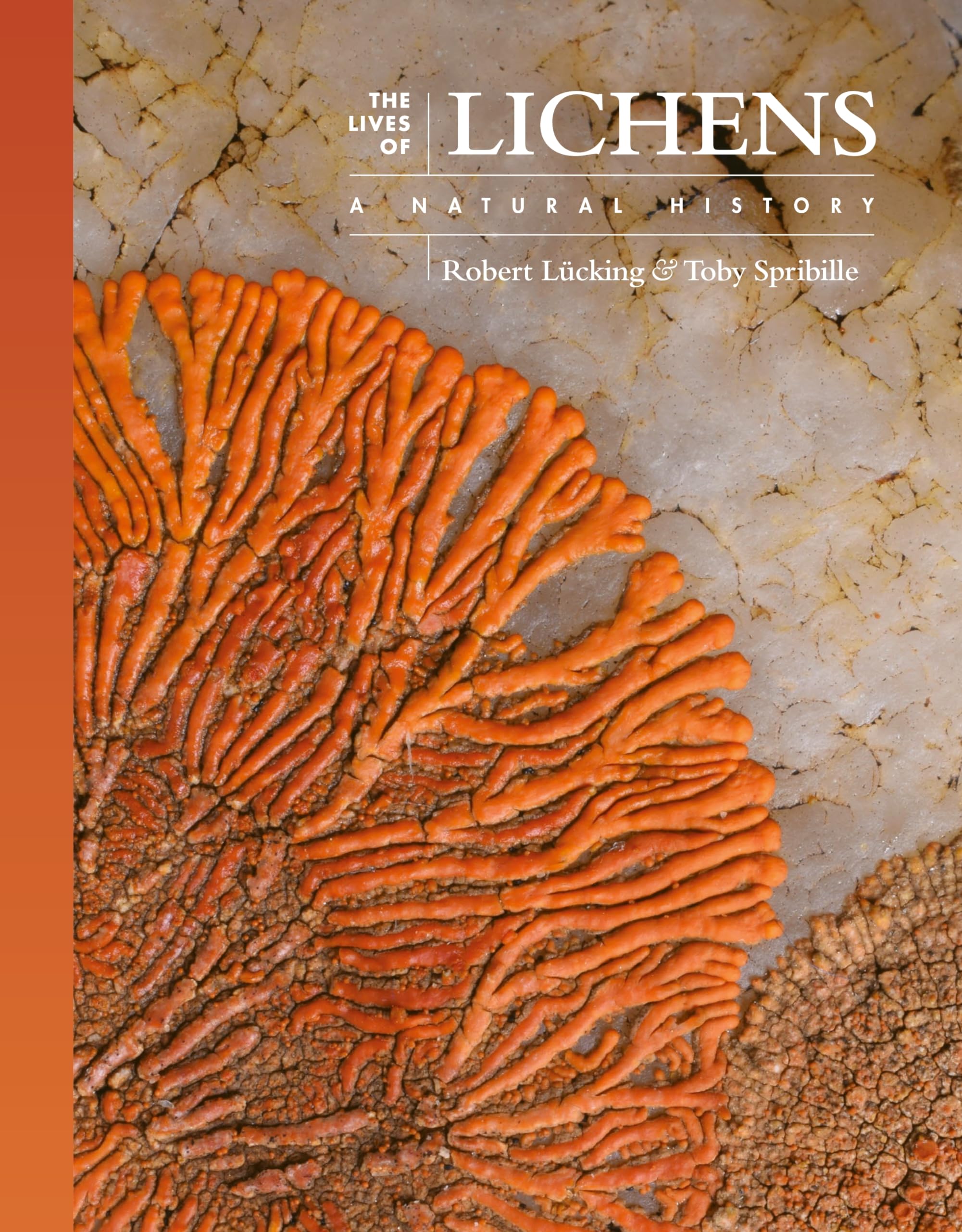 The Lives of Lichens: A Natural History (The Lives of the Natural World)-New