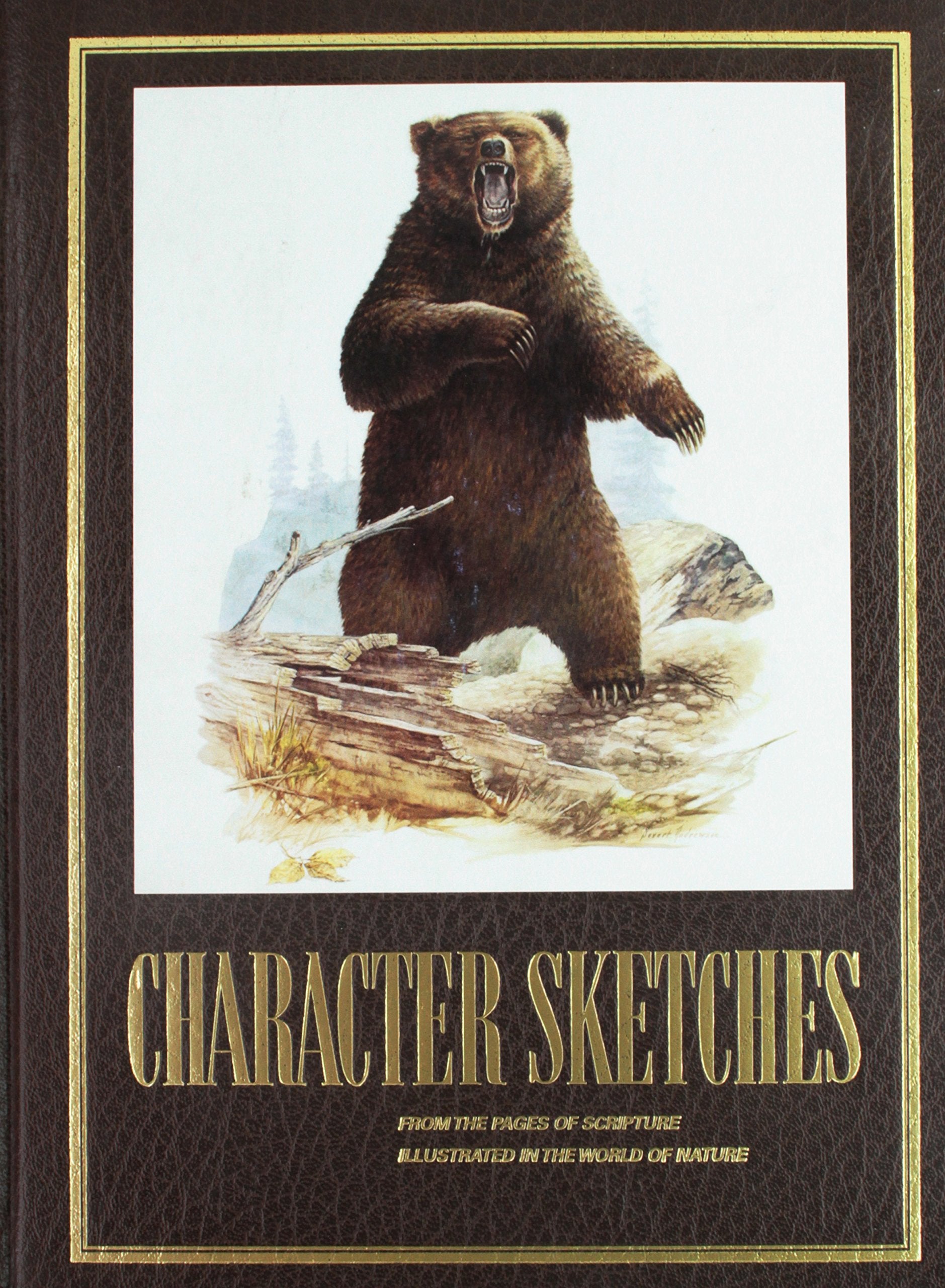 Character Sketches from the Pages of Scripture, Illustrated in the World of Nature, Vol. 1,New
