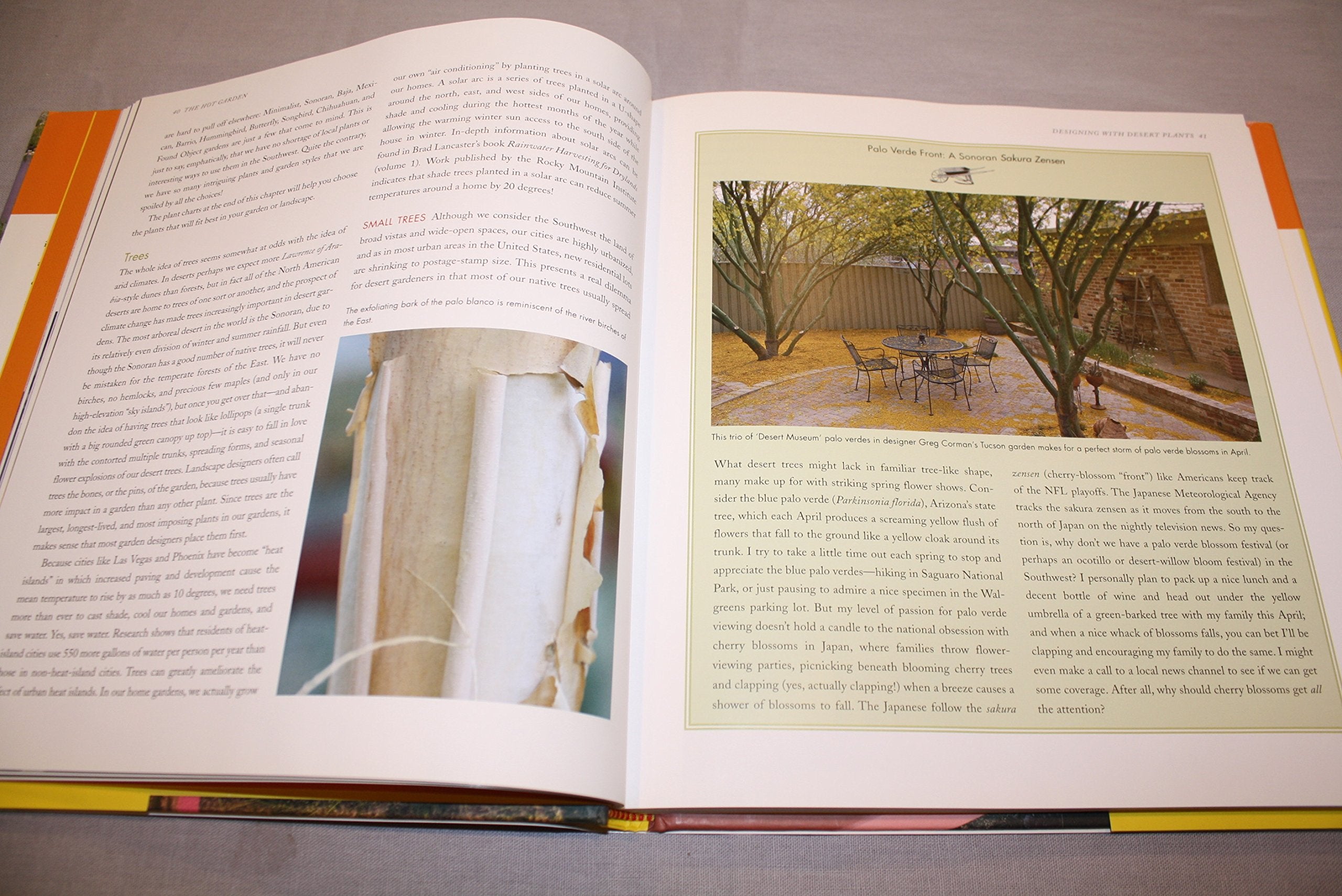 The Hot Garden: Landscape Design for the Desert Southwest,New