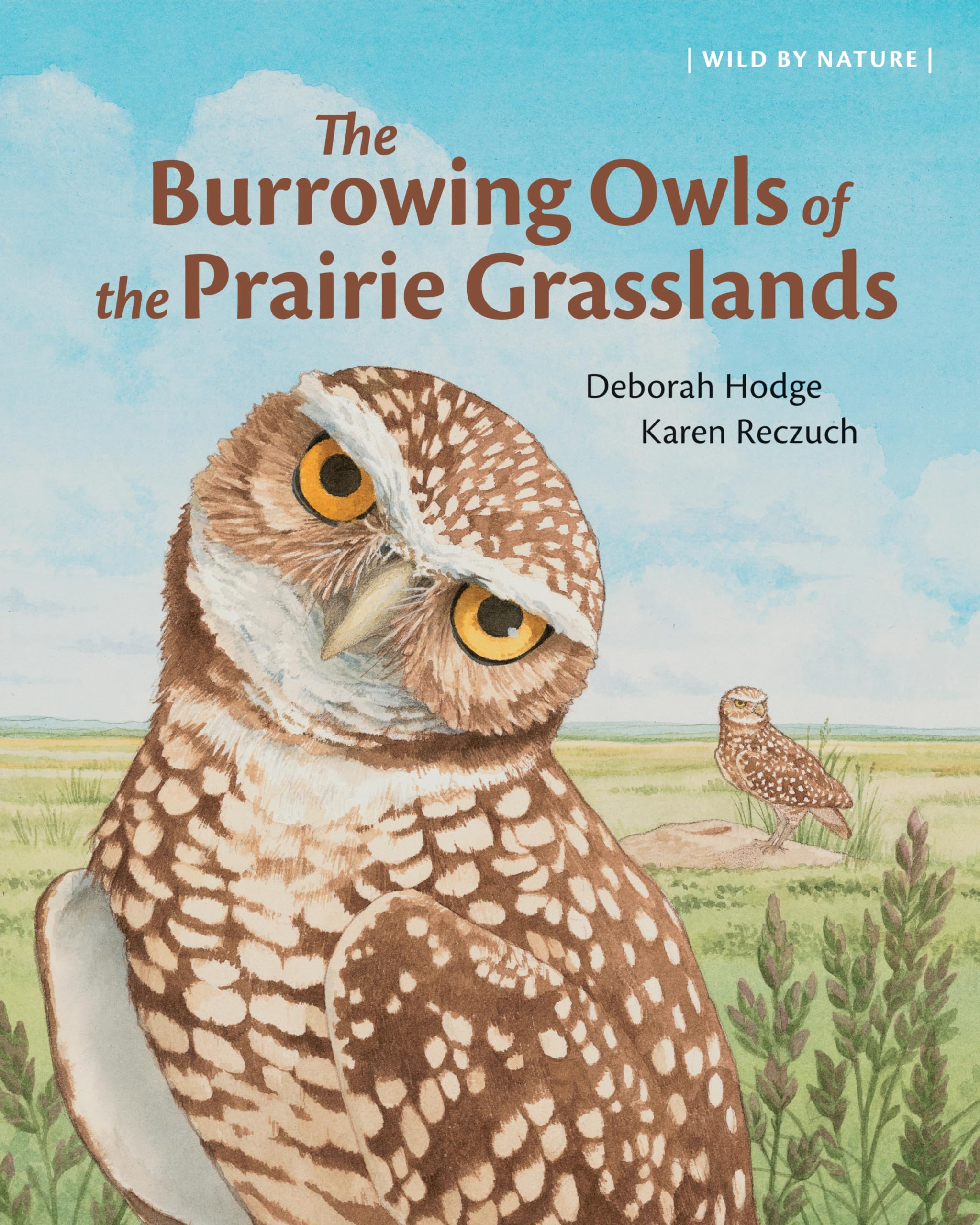 The Burrowing Owls Of The Prairie Grasslands (Wild By Nature, 2)
