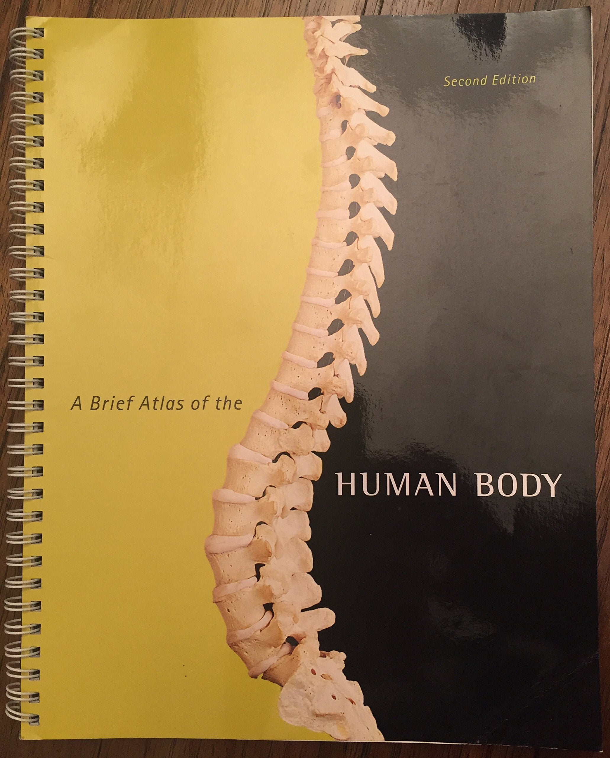 Brief Atlas of the Human Body, A,Used