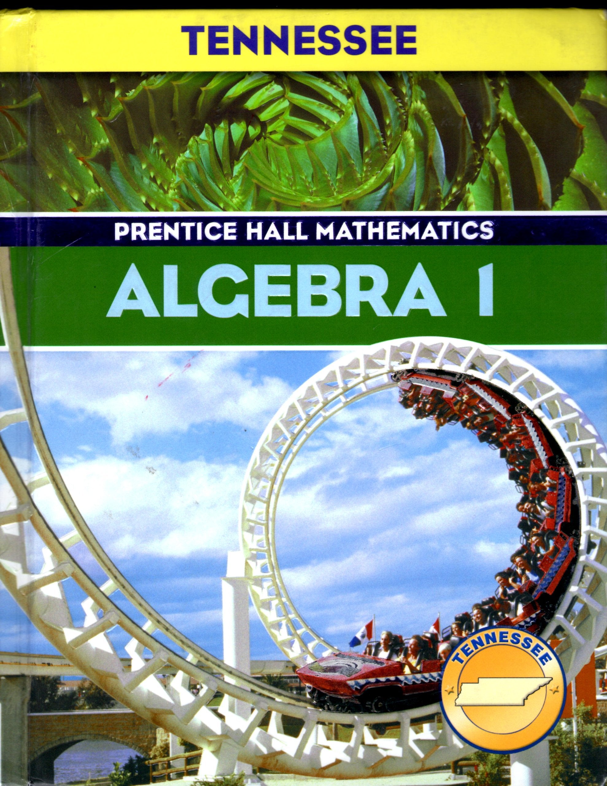 Algebra 1 (Mathematics, Tennessee),Used