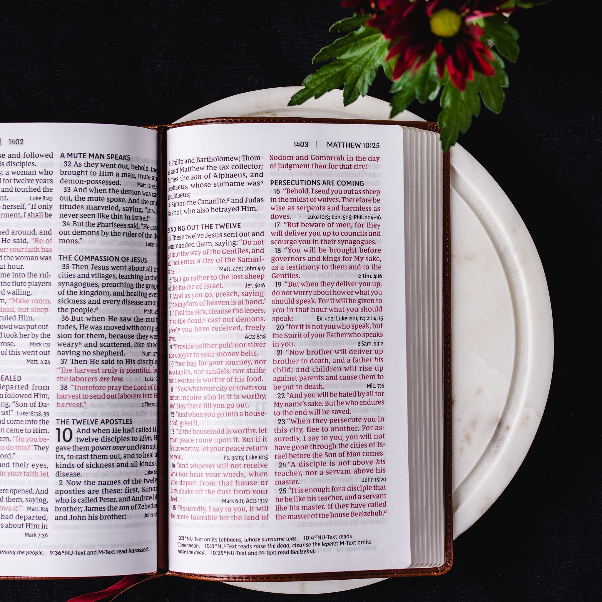 NKJV, Deluxe EndofVerse Reference Bible, Personal Size Large Print, Leathersoft, Black, Thumb Indexed, Red Letter, Comfort Pri,Used