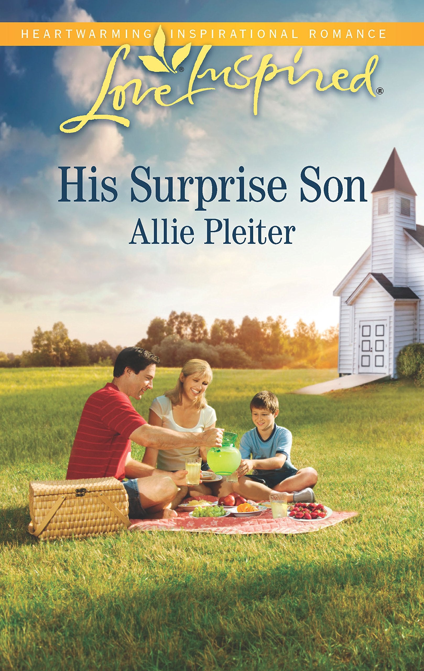 His Surprise Son (Matrimony Valley, 1),Used