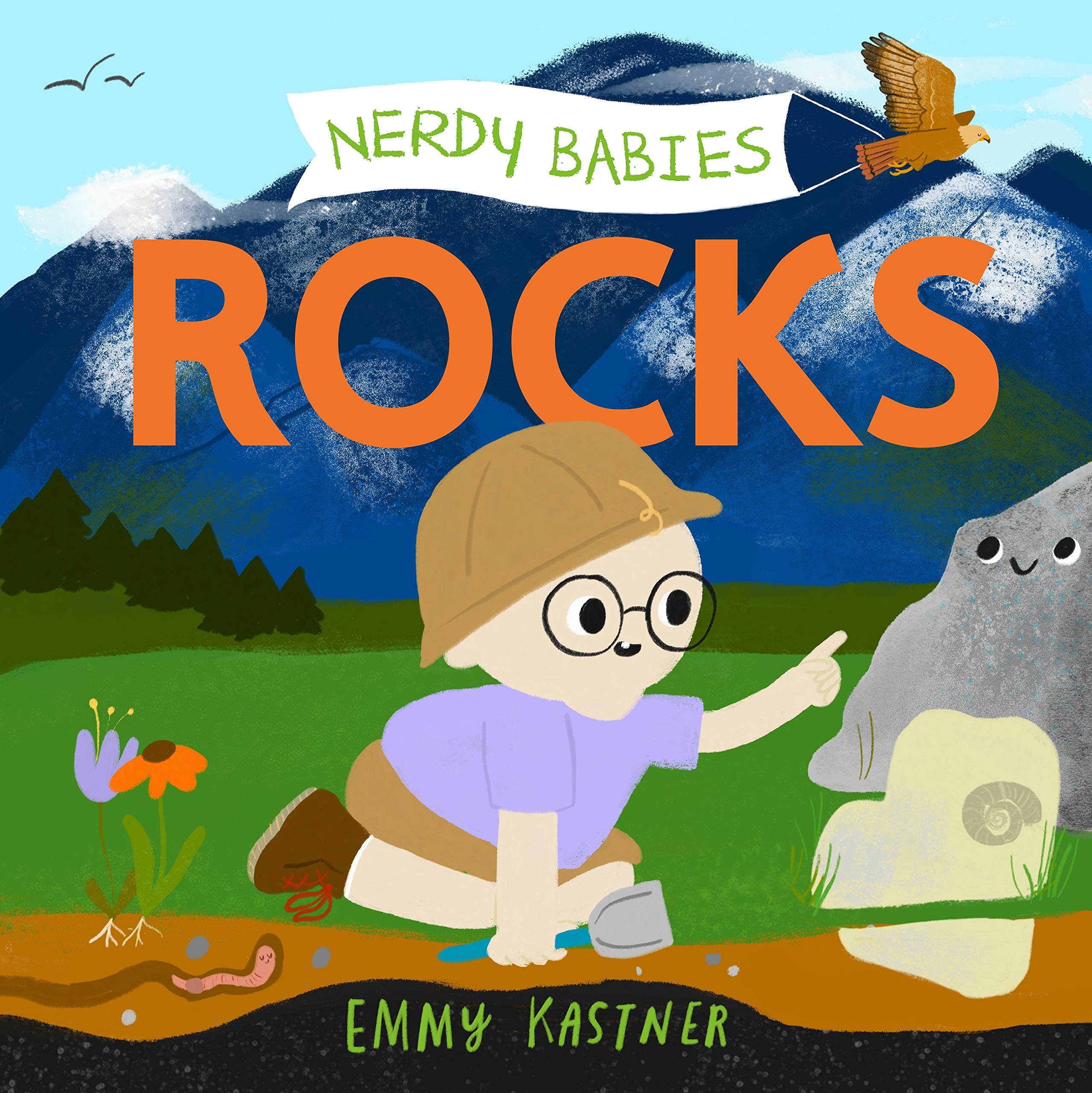 Nerdy Babies: Rocks (Nerdy Babies, 3),Used