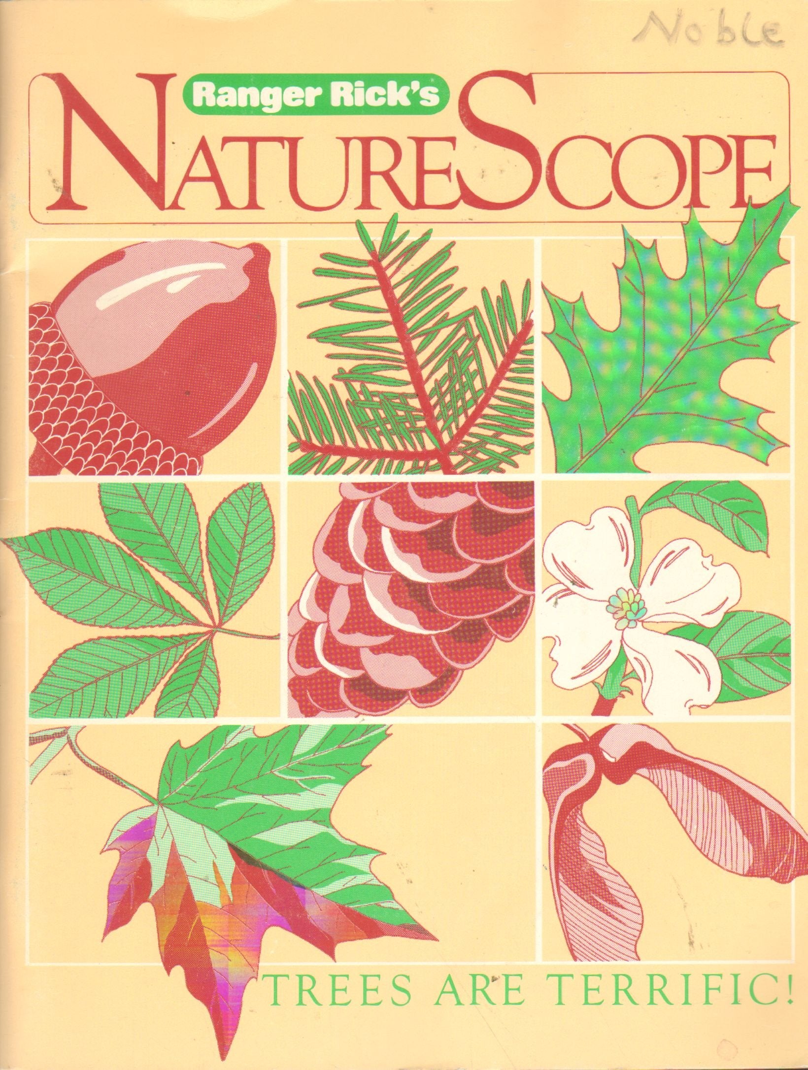 Trees Are Terrific (Ranger Rick's Naturescope Series),Used
