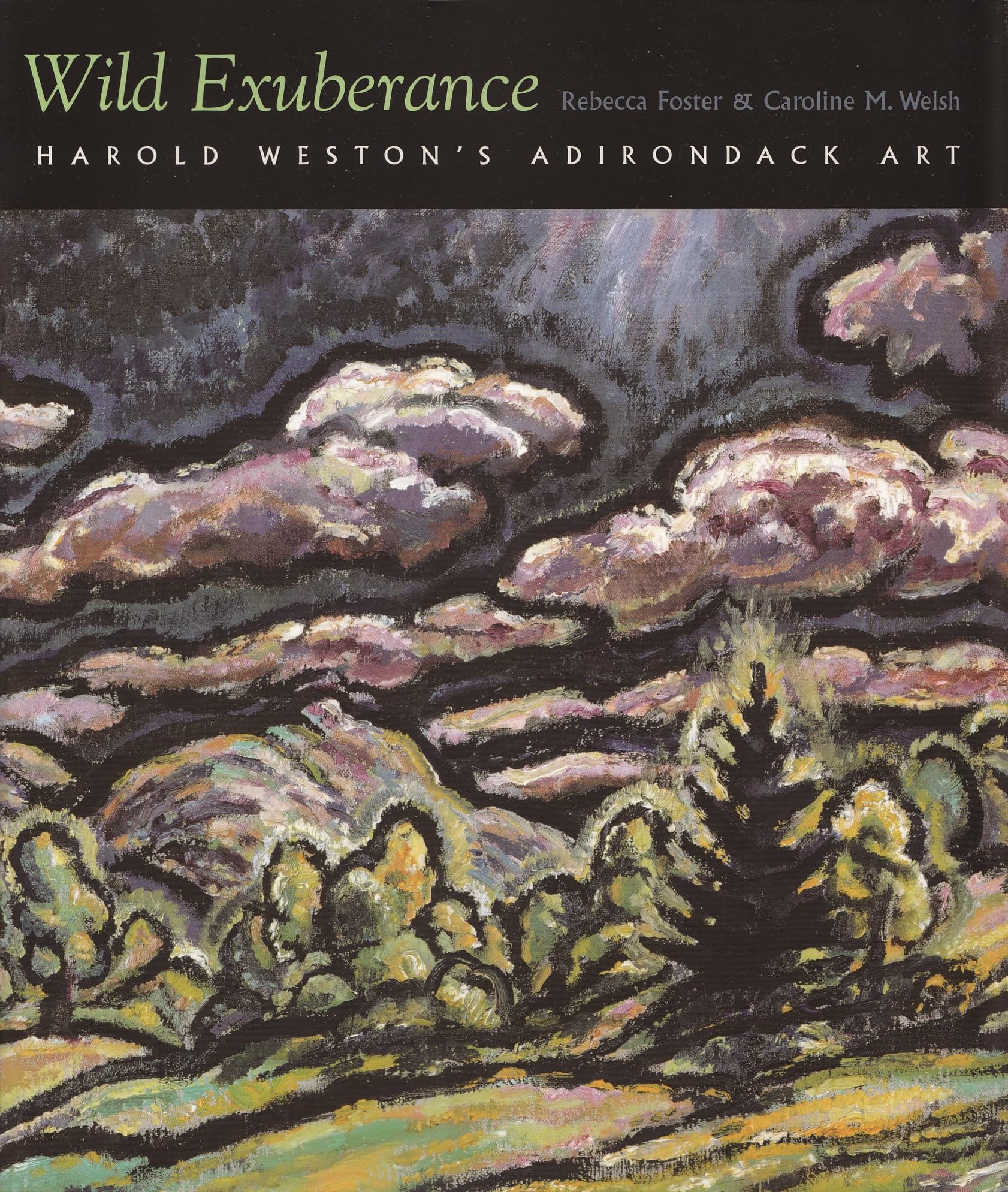 Wild Exuberance: Harold Weston'S Adirondack Art (Adirondack Museum Books),Used