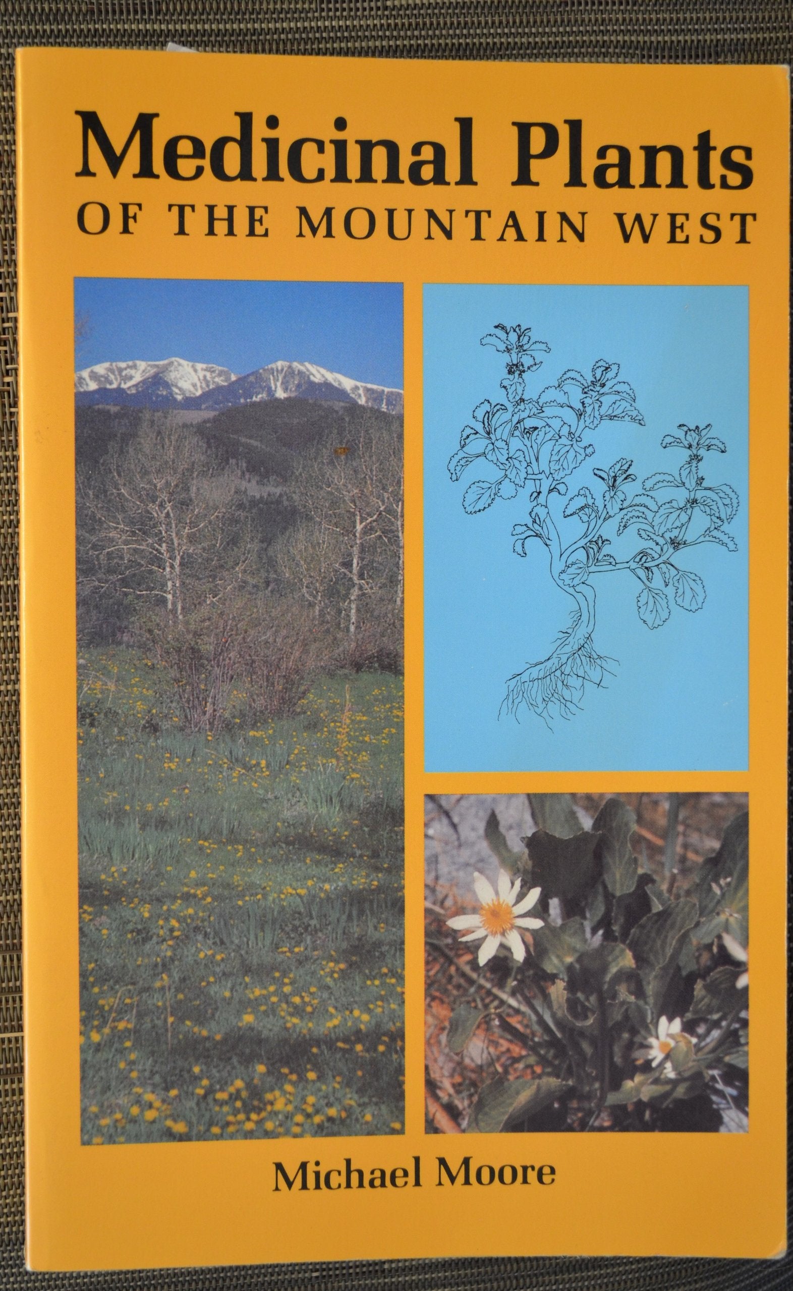 Medicinal Plants of the Mountain West,New