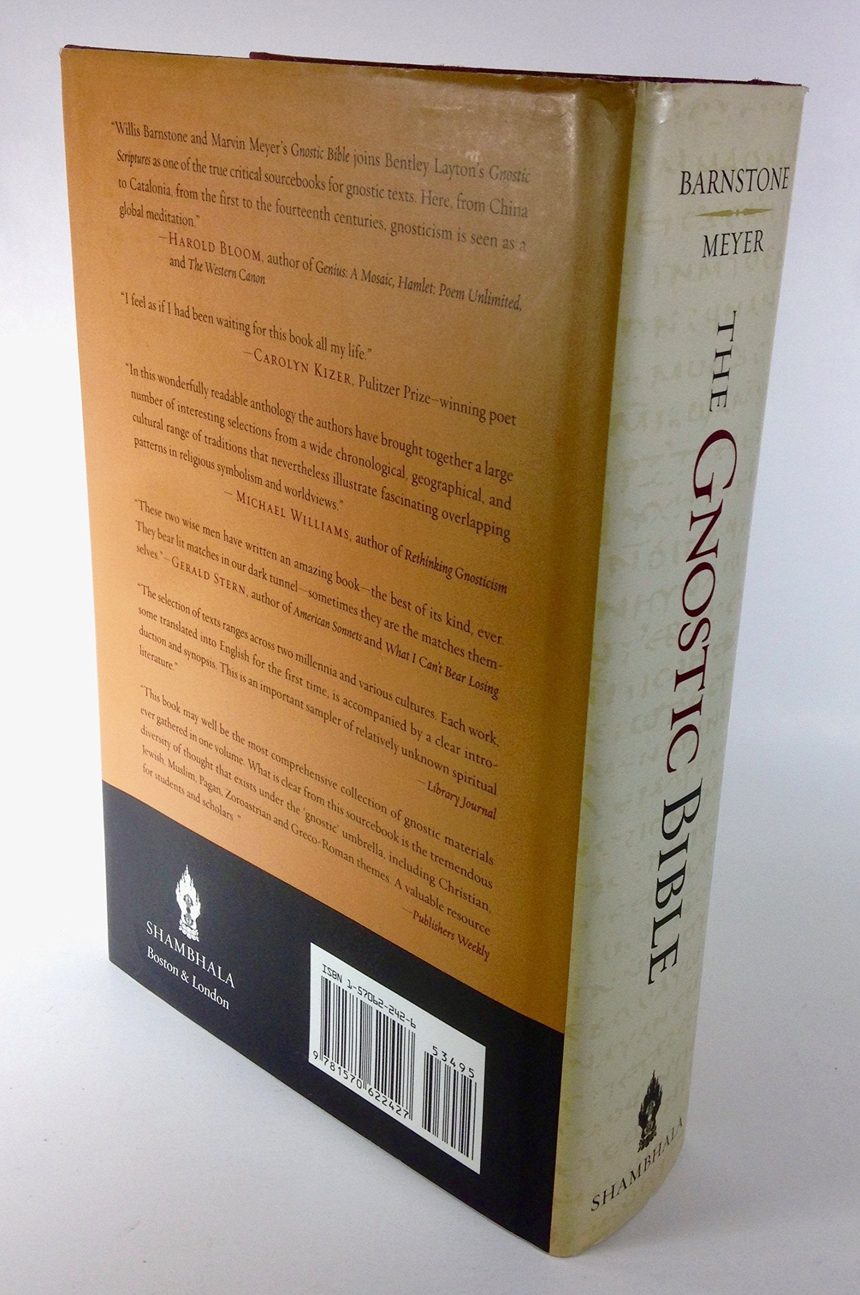 The Gnostic Bible: Gnostic Texts of Mystical Wisdom from the Ancient and Medieval Worlds,Used