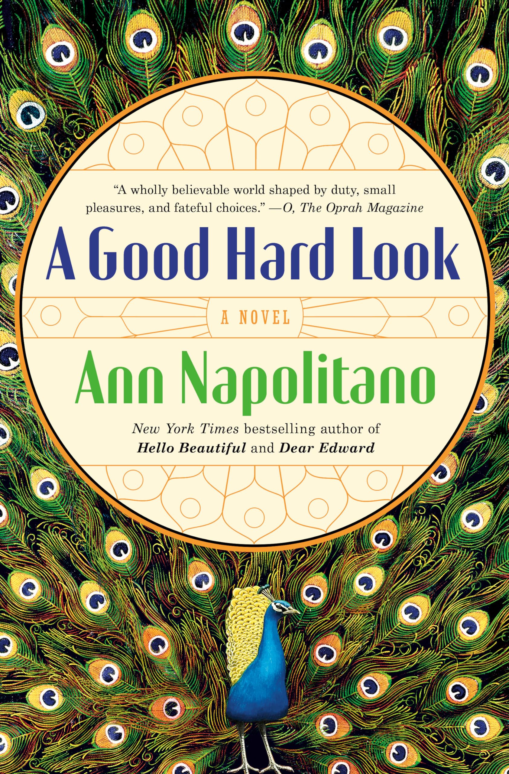 A Good Hard Look: A Novel,Used