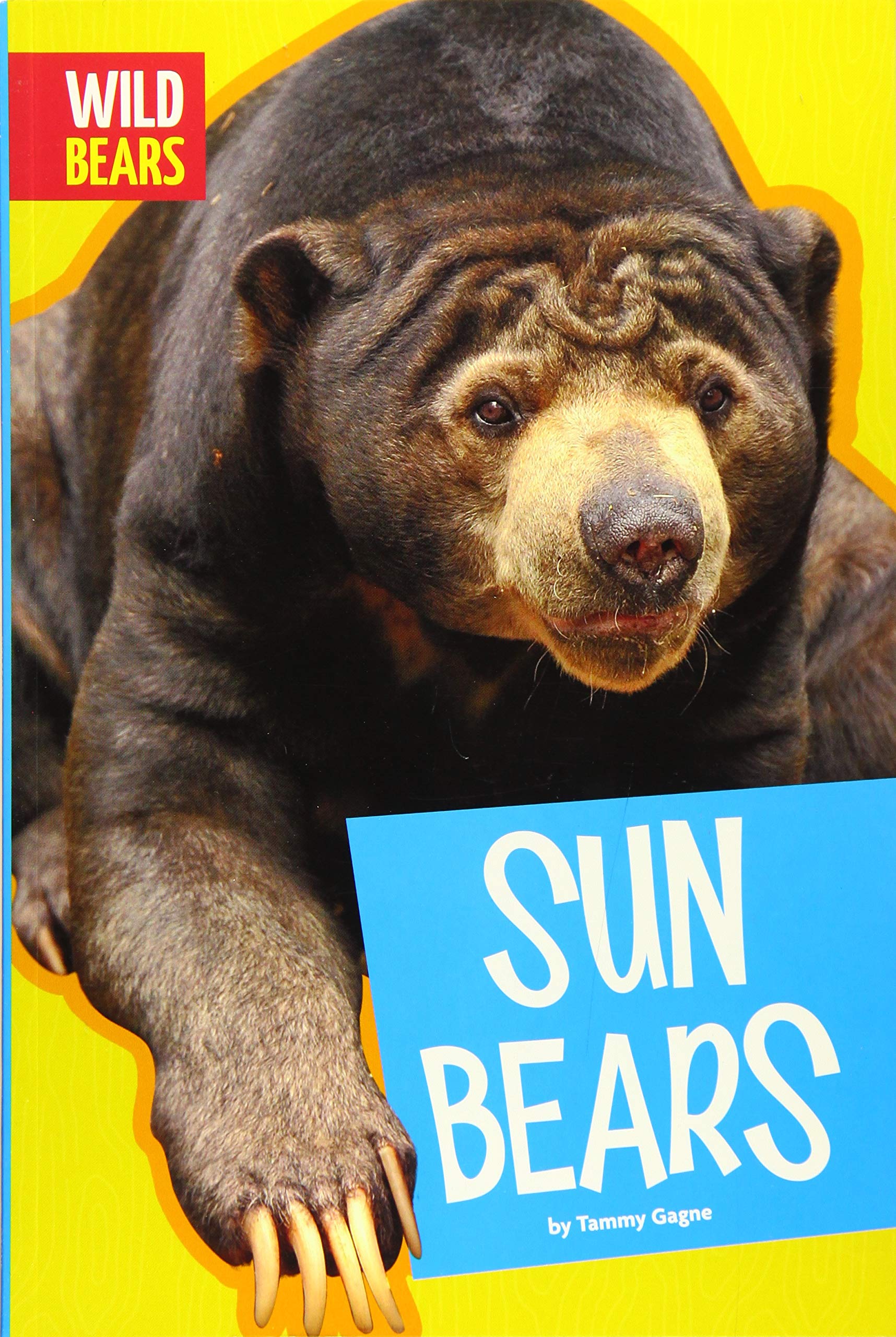 Sun Bears (Wild Bears)