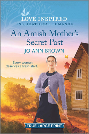 An Amish Mother's Secret Past (Green Mountain Blessings, 3),Used