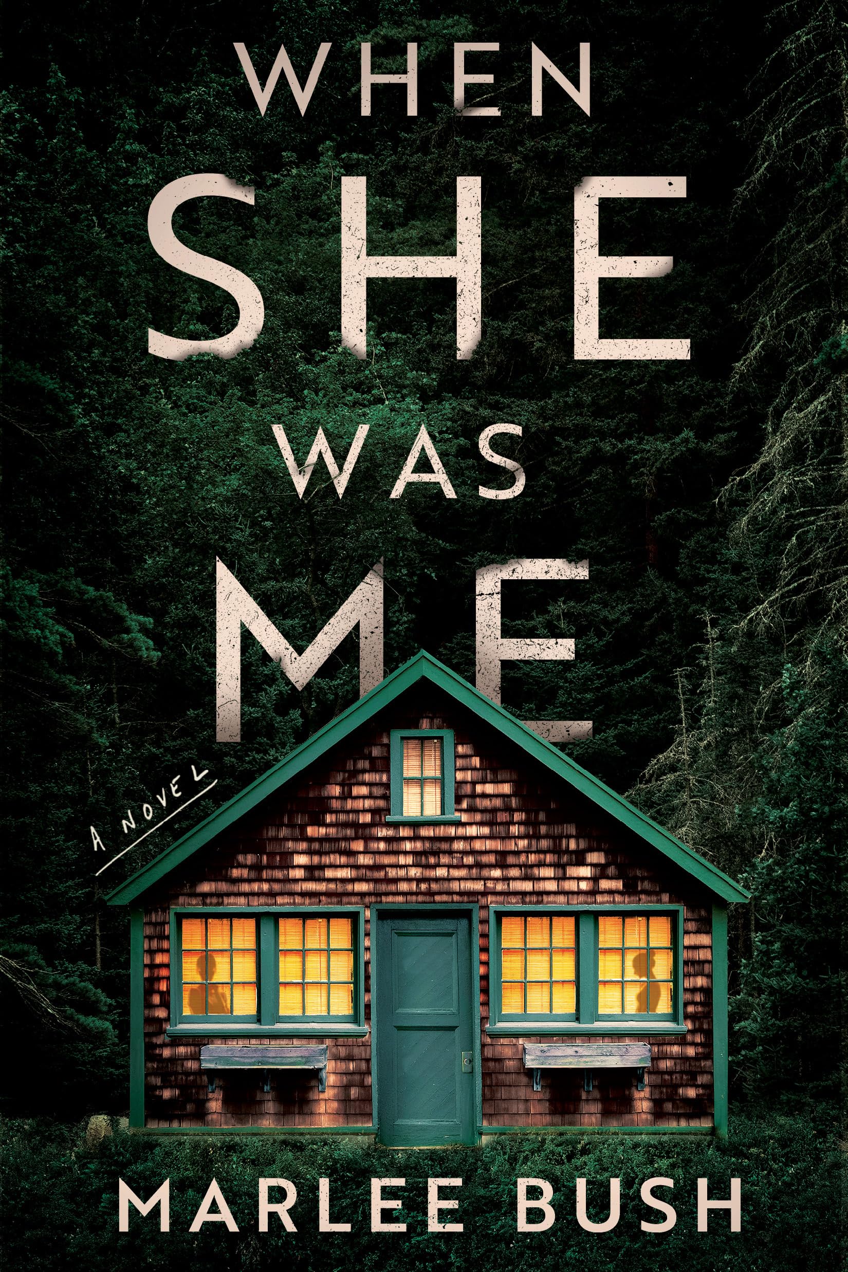 When She Was Me: A Novel,Used