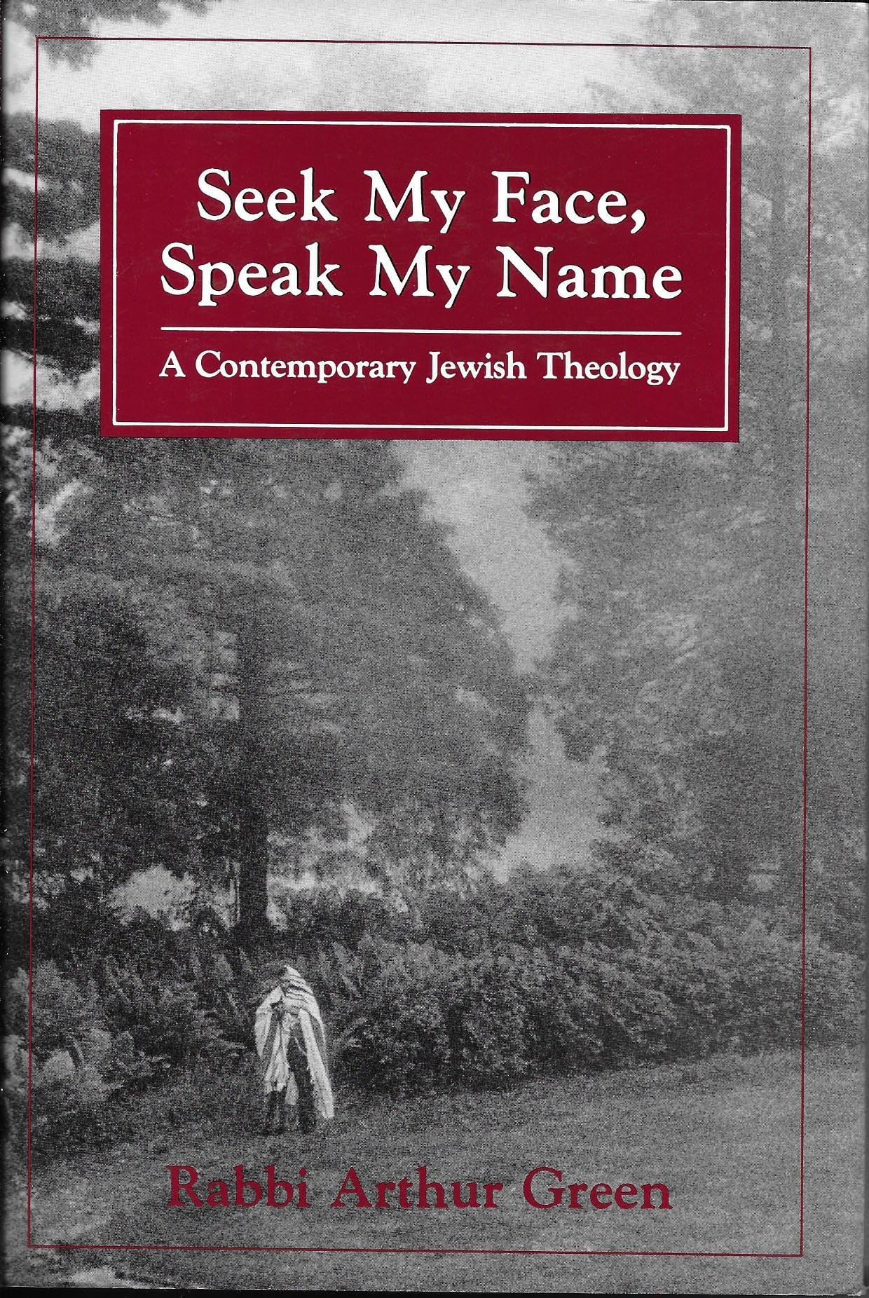 Seek My Face, Speak My Name: A Contemporary Jewish Theology,New