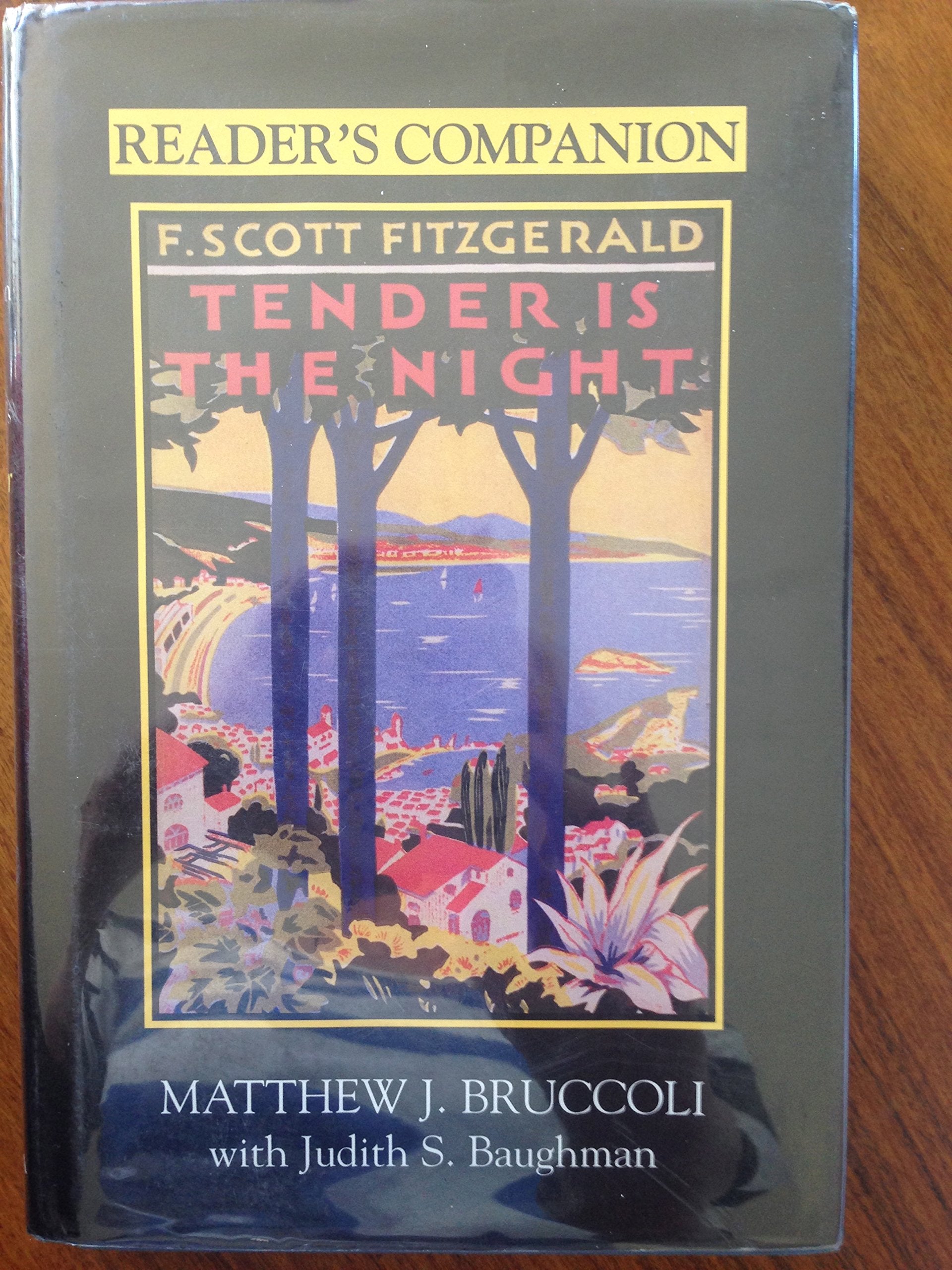 Reader's Companion to F. Scott Fitzgerald's Tender Is the Night,Used