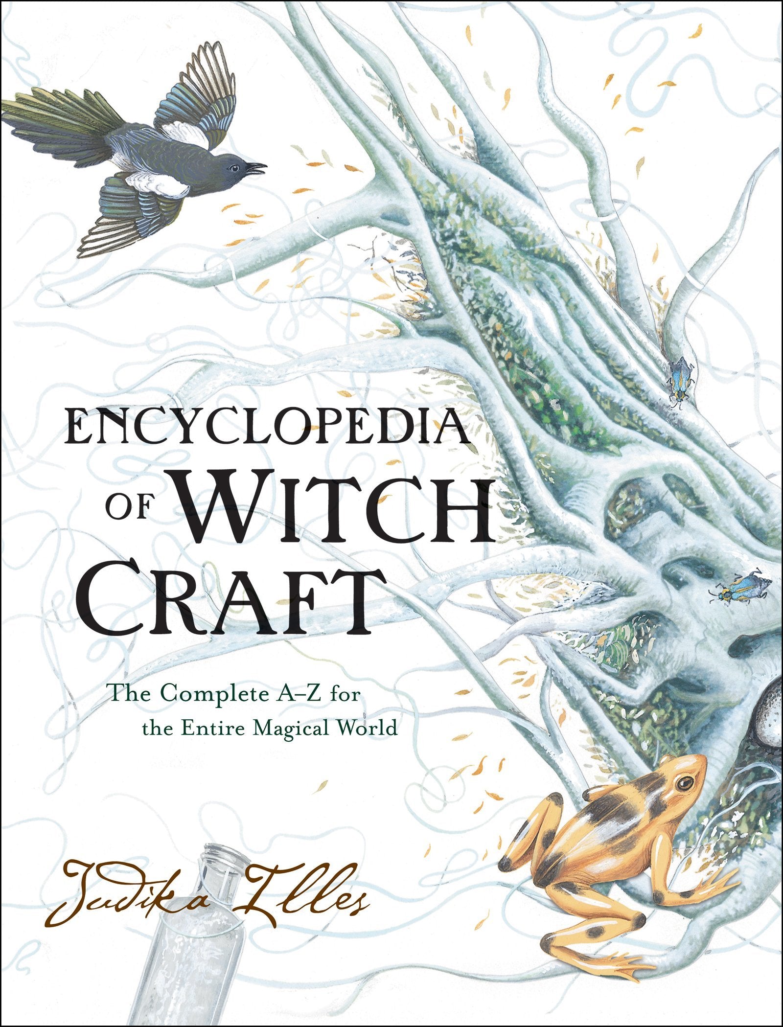 Encyclopedia of Witchcraft: The Complete AZ for the Entire Magical World (Witchcraft & Spells),New