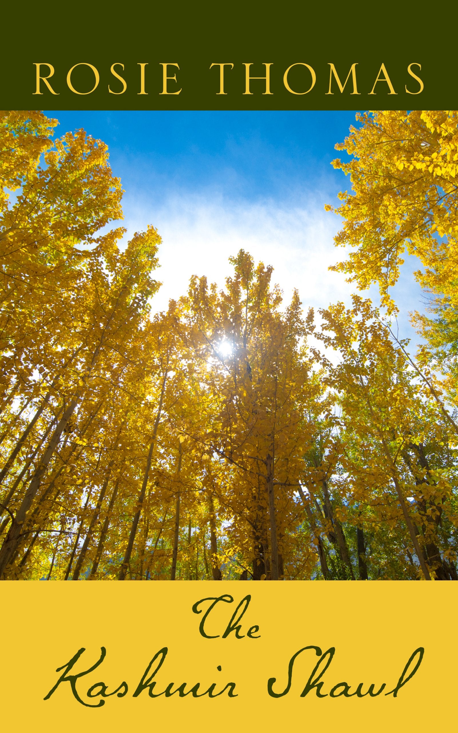 The Kashmir Shawl (Thorndike Press Large Print Historical Fiction),New