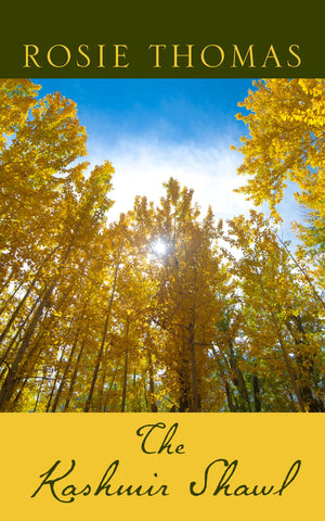 The Kashmir Shawl (Thorndike Press Large Print Historical Fiction),New