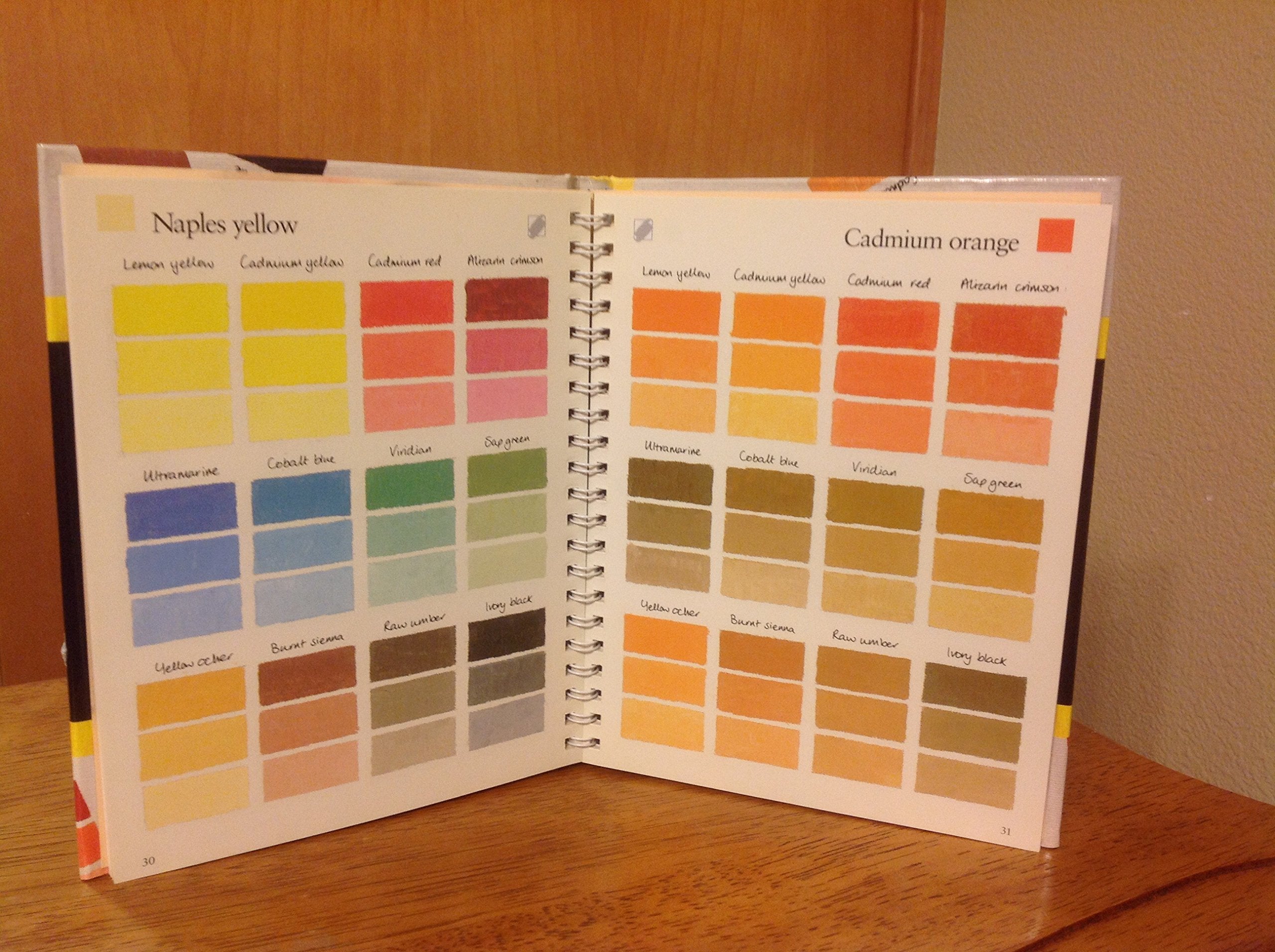 The Oil Painter's Pocket Palette (ILLUSTRATED),Used